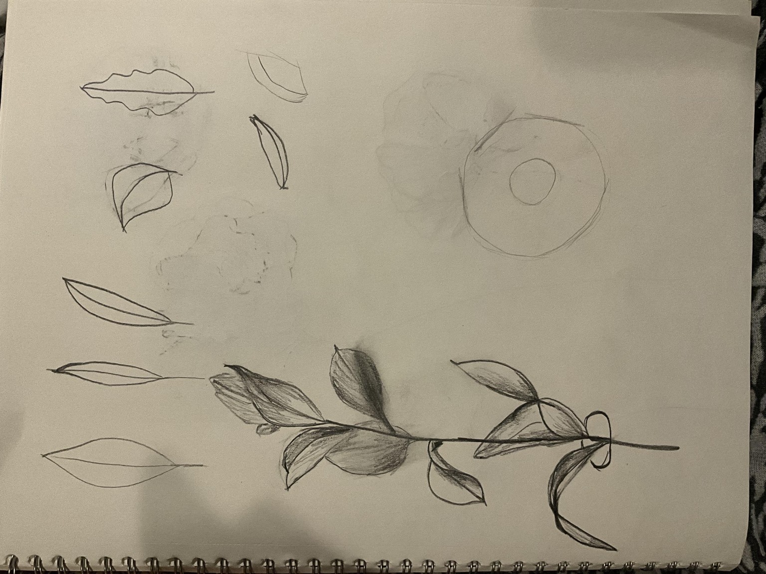 Drawing flowers - image 1 - student project