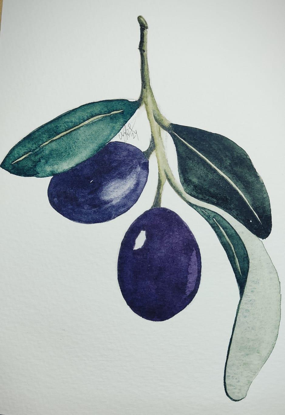 Easy Botanical Watercolor: Paint Olives, Leek, and Green Onion - image 4 - student project