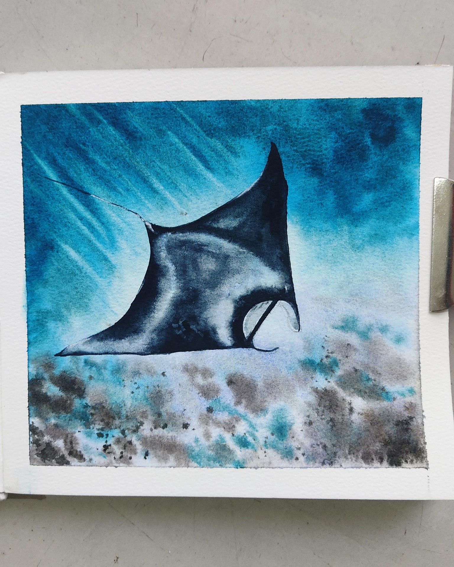 Explore Underwater World with Watercolors for Beginners - image 3 - student project