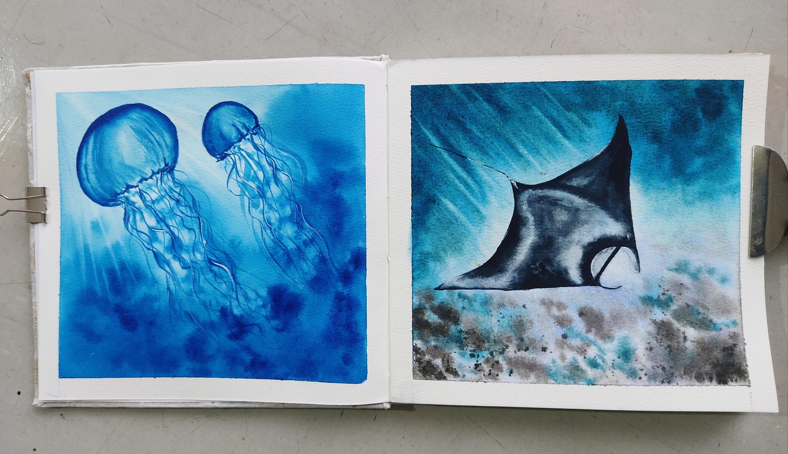 Explore Underwater World with Watercolors for Beginners - image 1 - student project