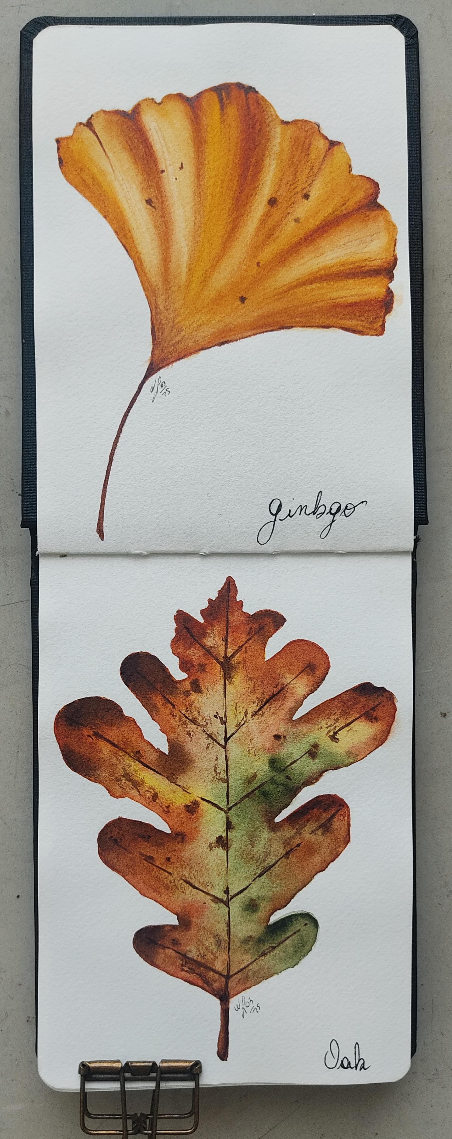 Watercolor Autumn Leaves & Mushrooms - image 10 - student project