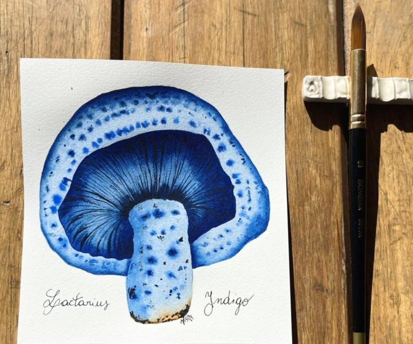 Watercolor Autumn Leaves & Mushrooms - image 2 - student project
