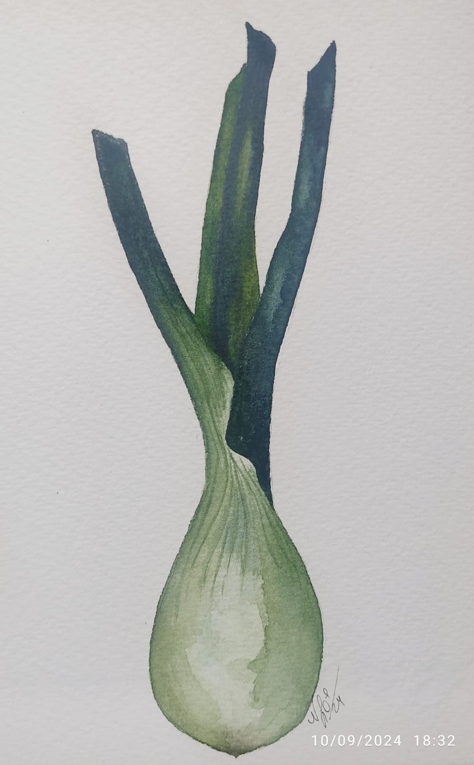 Easy Botanical Watercolor: Paint Olives, Leek, and Green Onion - image 3 - student project