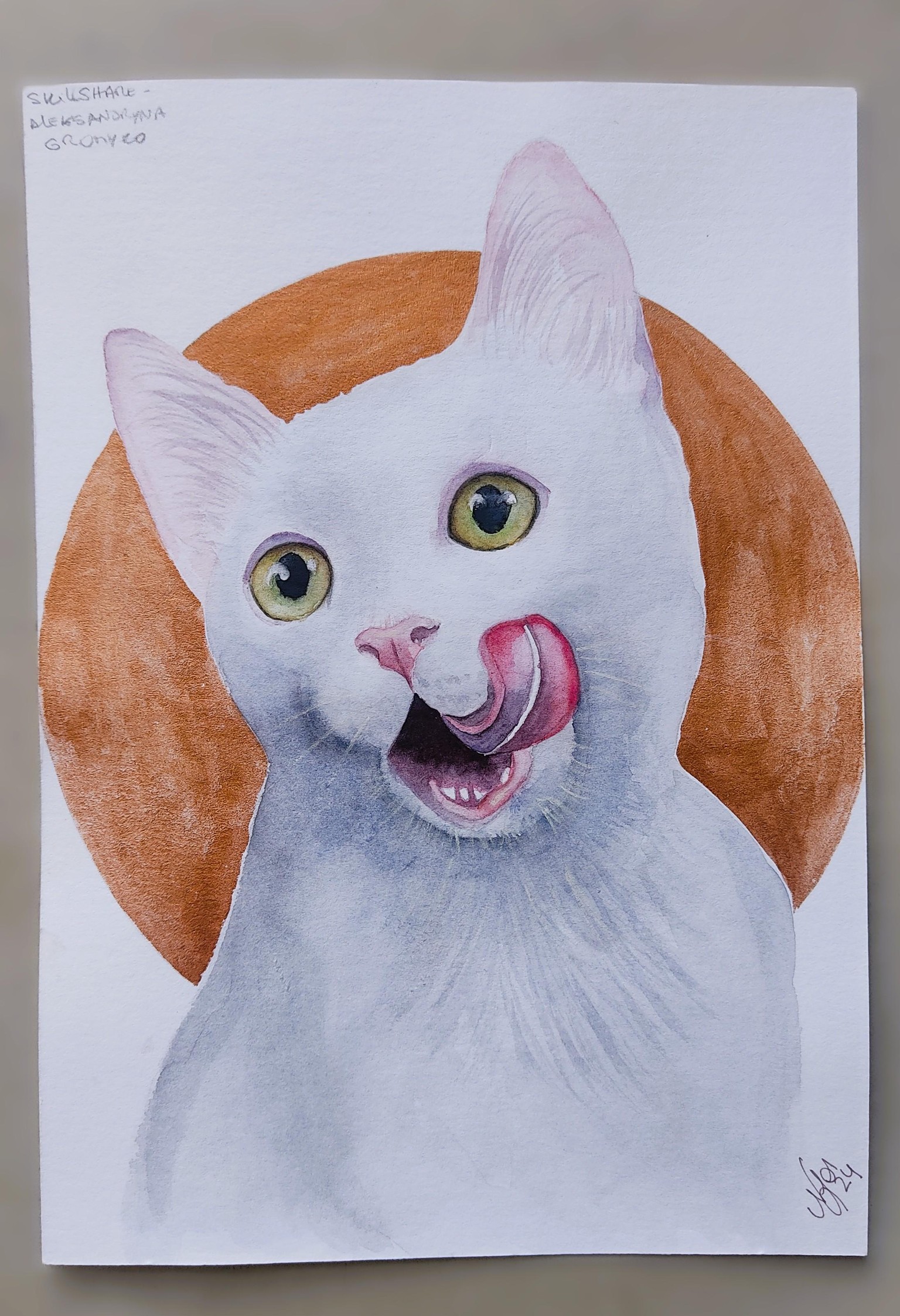 Gato blanco - image 1 - student project