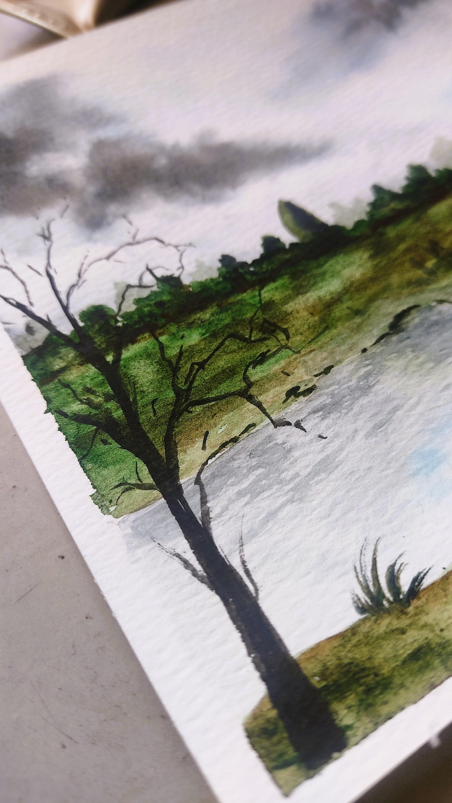 Learn to Paint Grassland and Rivers - Easy Watercolor Landscapes - image 3 - student project