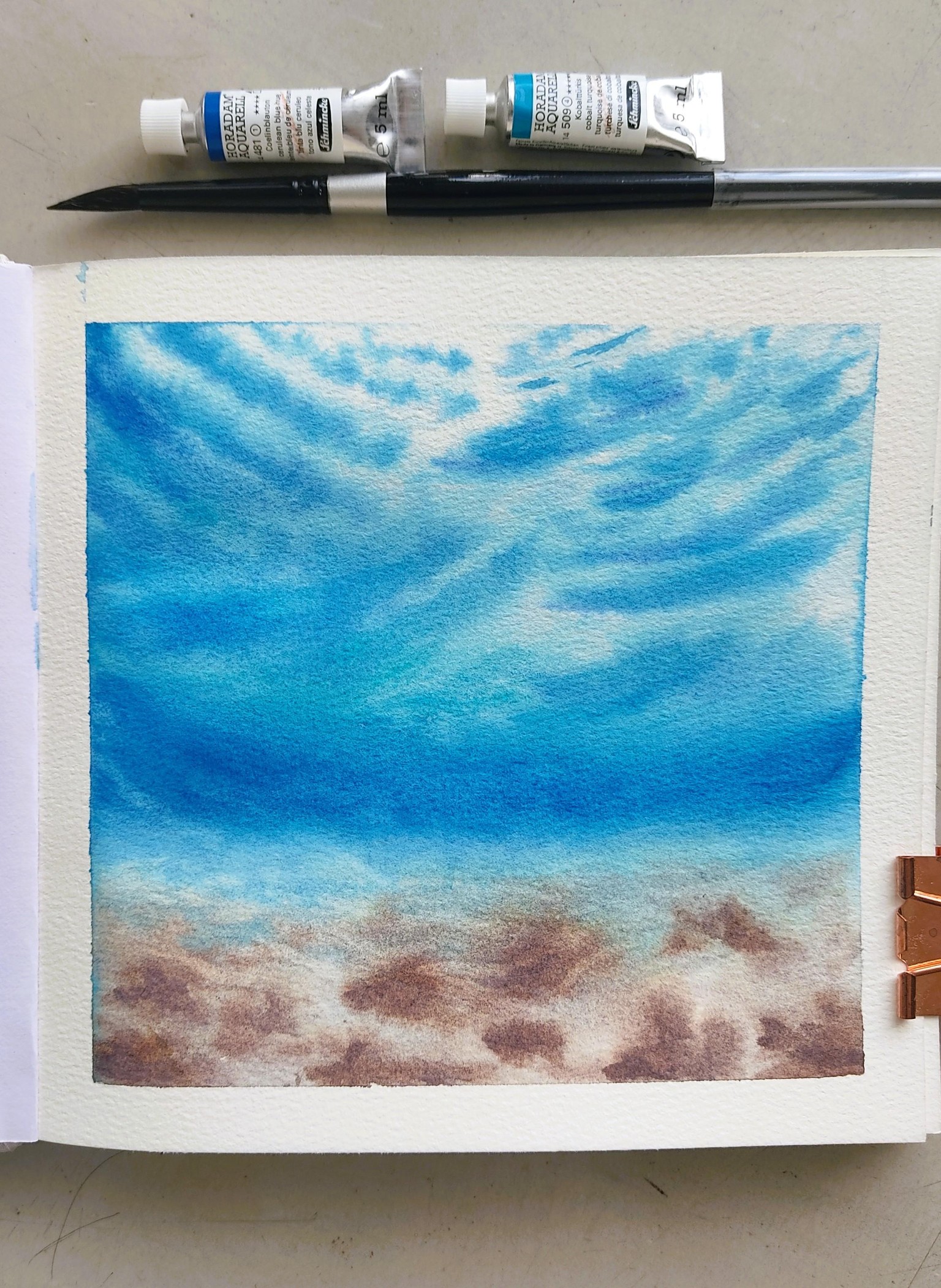 Explore Underwater World with Watercolors for Beginners - image 4 - student project