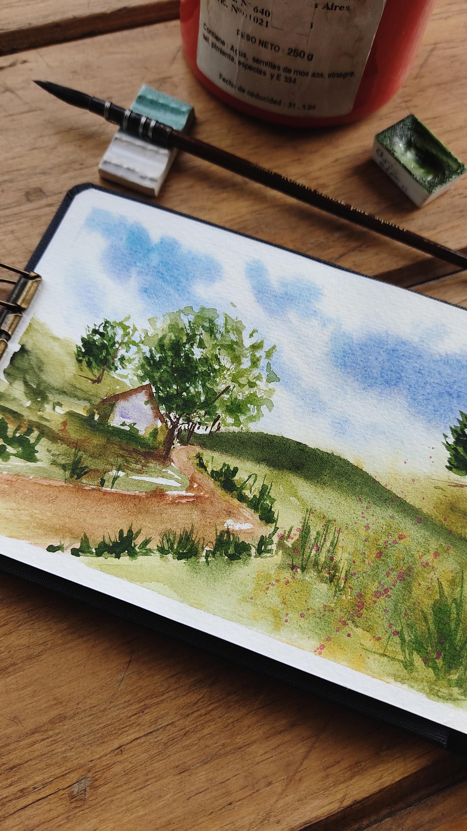 Creative Watercolor Sketchbook: Paint Loose Landscape - image 1 - student project