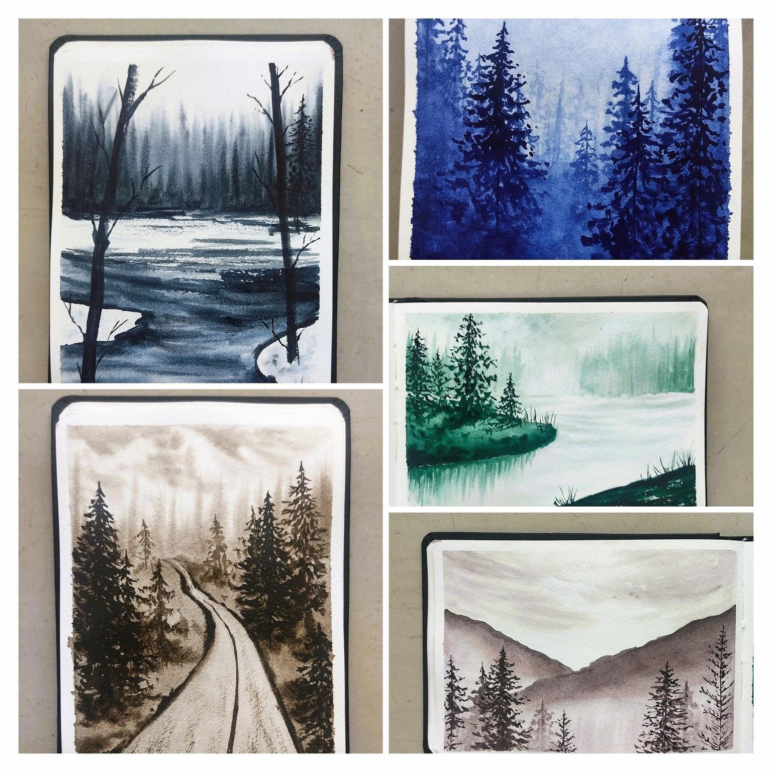 5 Days of Misty Pines – A Monochrome Watercolor Challenge - image 1 - student project