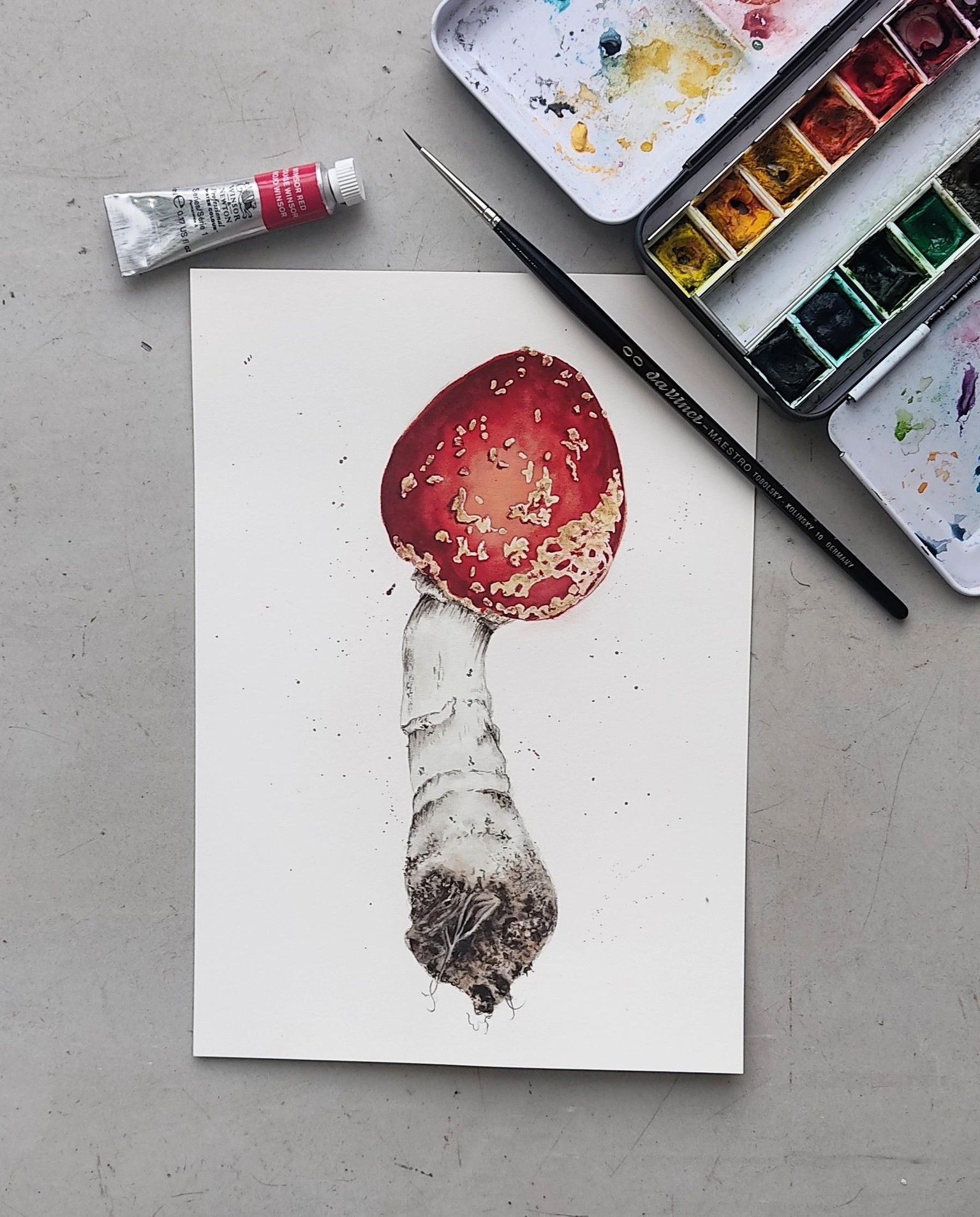 Fly Agaric Mushroom - image 1 - student project