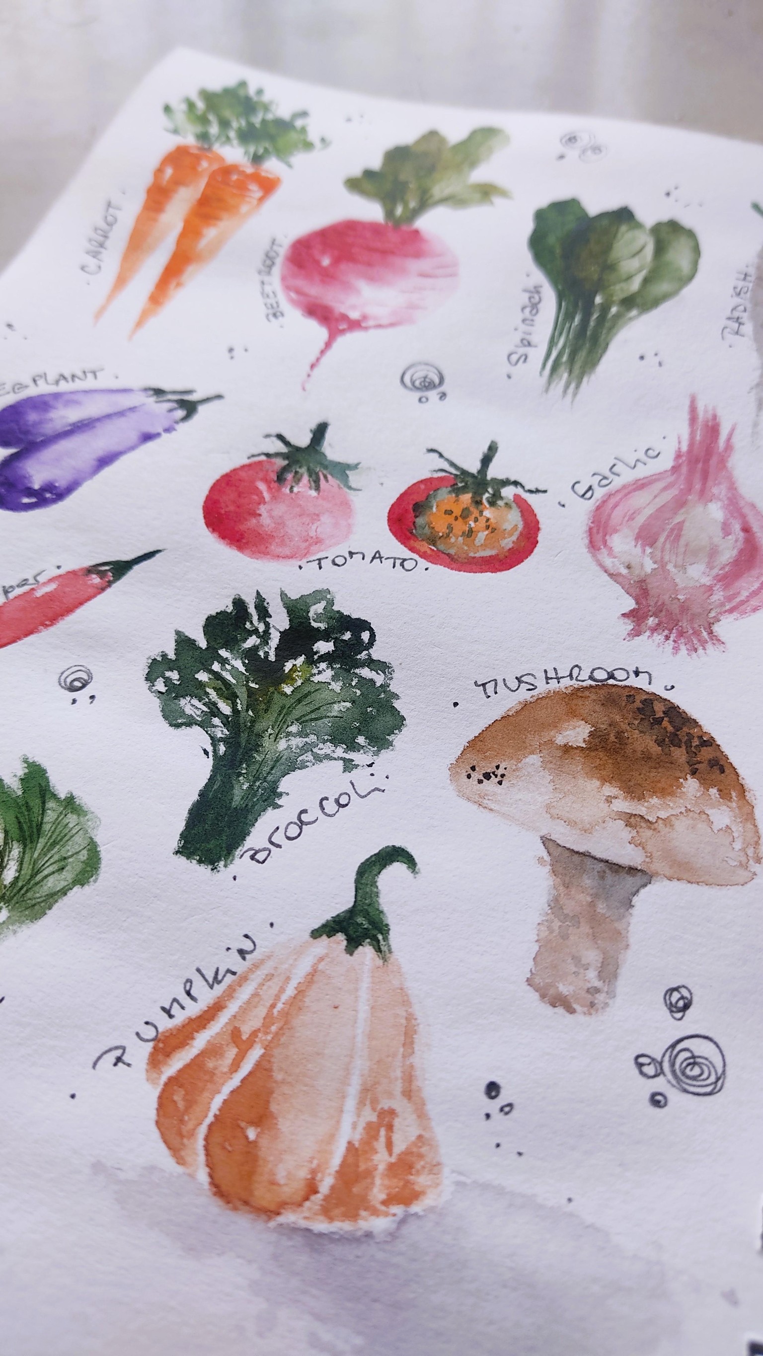 Easy Loose Watercolour Vegetables: Learn the Foundational Technique - image 3 - student project