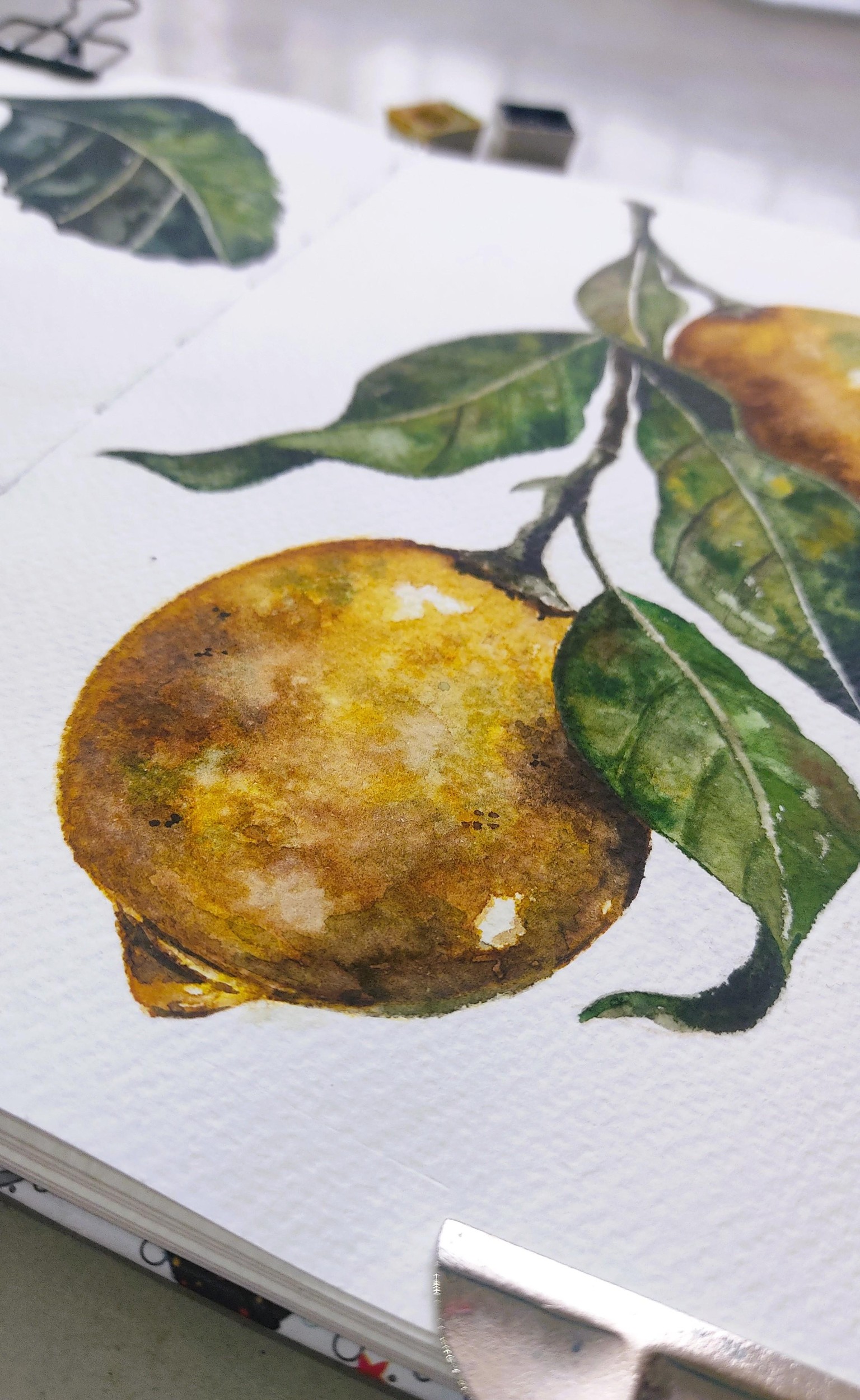 Juicy Botanical Watercolor Lemons - image 5 - student project