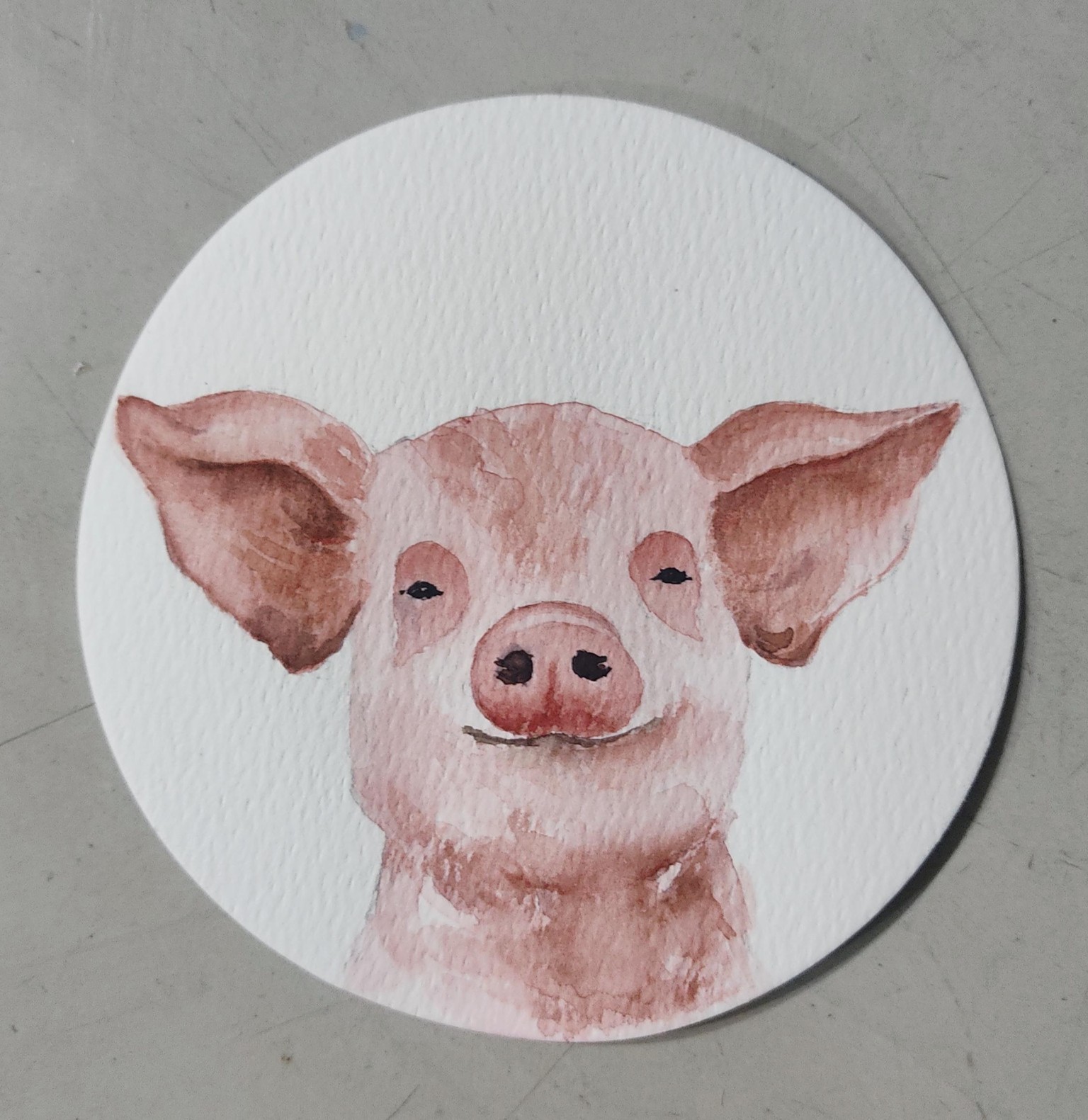 Baby watercolor animals - image 2 - student project
