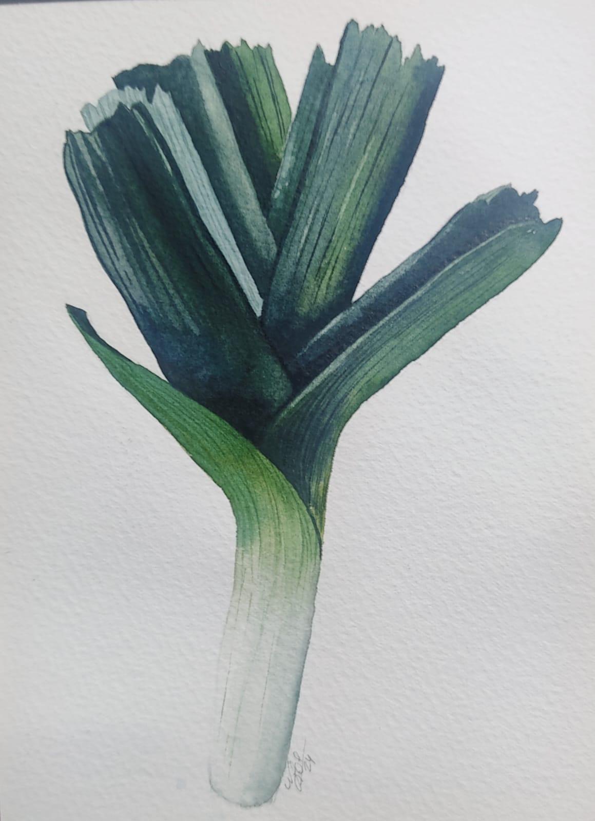Easy Botanical Watercolor: Paint Olives, Leek, and Green Onion - image 1 - student project