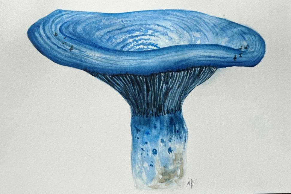 Watercolor Autumn Leaves & Mushrooms - image 9 - student project