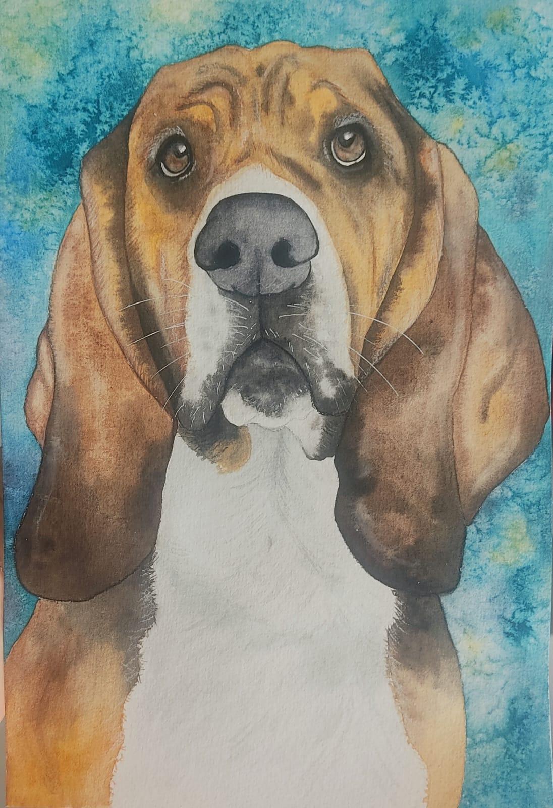 Cooper the Basset - image 1 - student project
