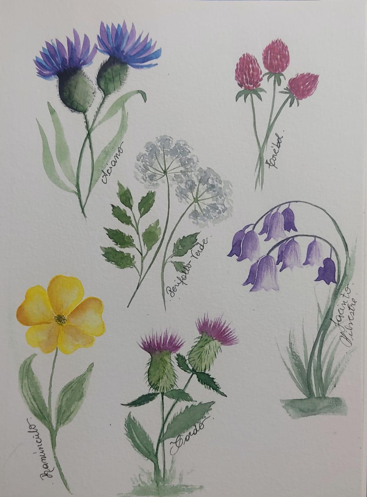 Wildflower - image 1 - student project