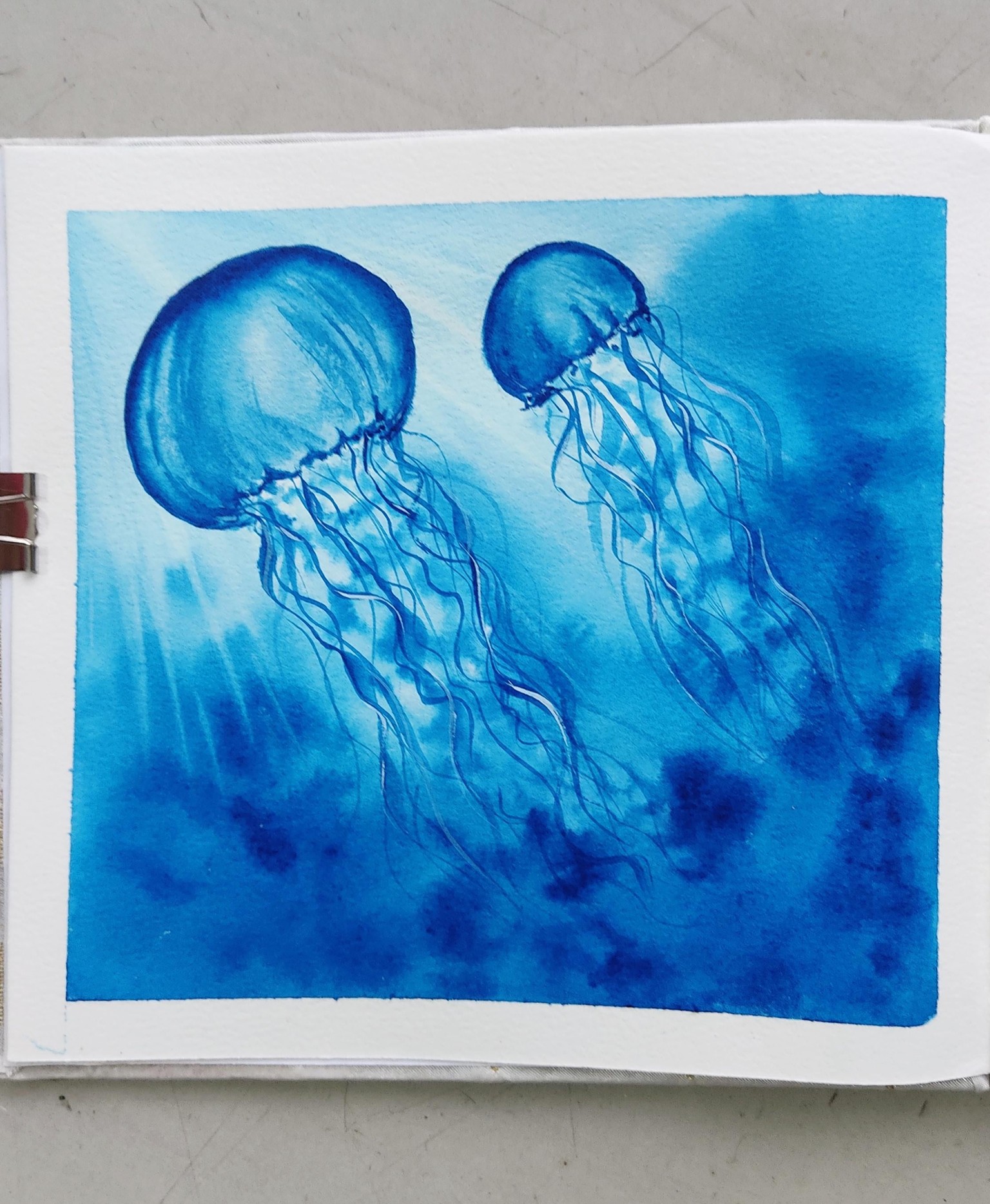 Explore Underwater World with Watercolors for Beginners - image 2 - student project