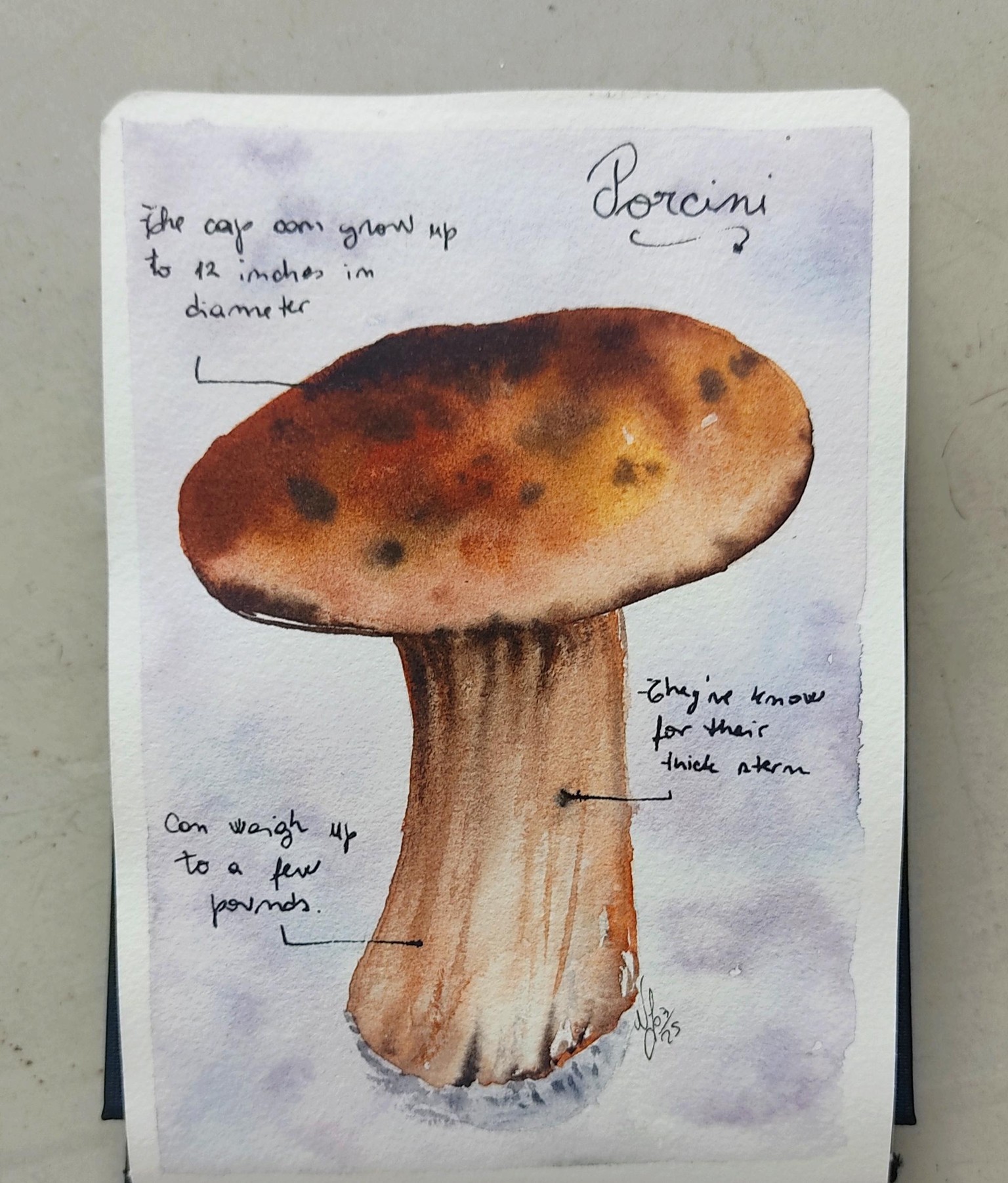 Watercolor Autumn Leaves & Mushrooms - image 6 - student project