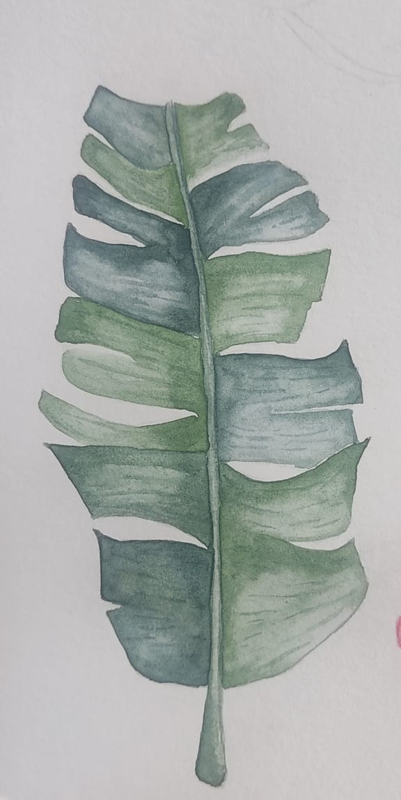 Tropical Plants and Flowers - image 4 - student project