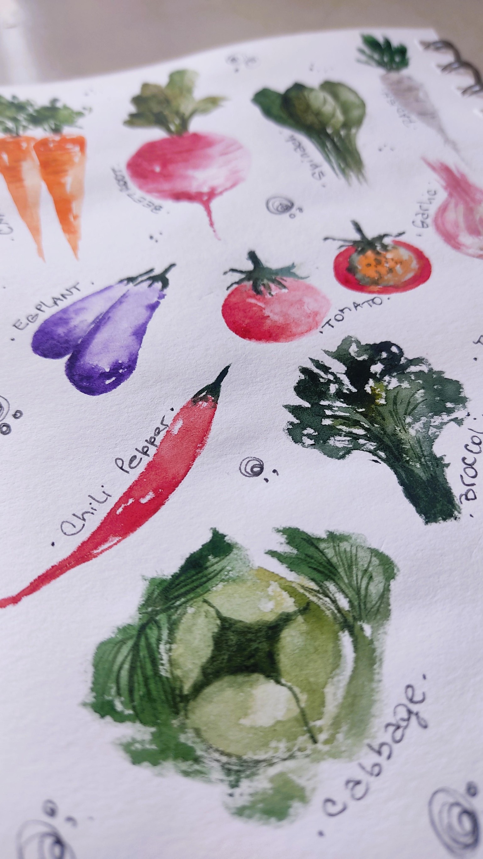 Easy Loose Watercolour Vegetables: Learn the Foundational Technique - image 2 - student project