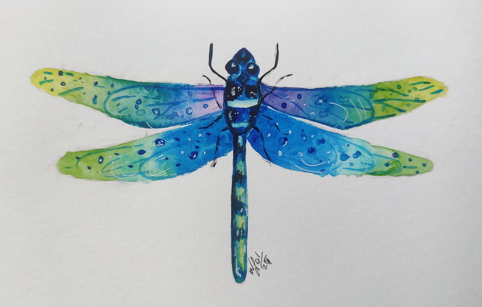 Fun dragonfly - image 1 - student project