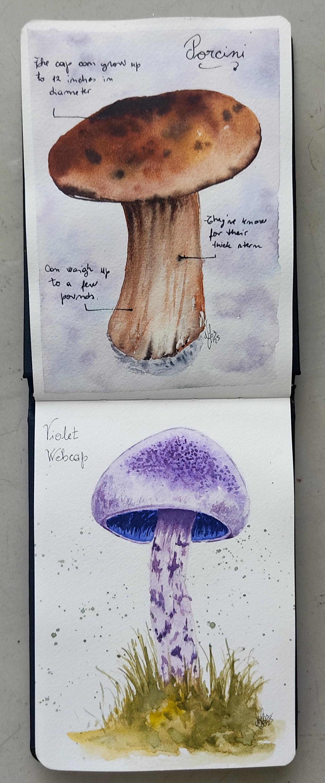 Watercolor Autumn Leaves & Mushrooms - image 8 - student project