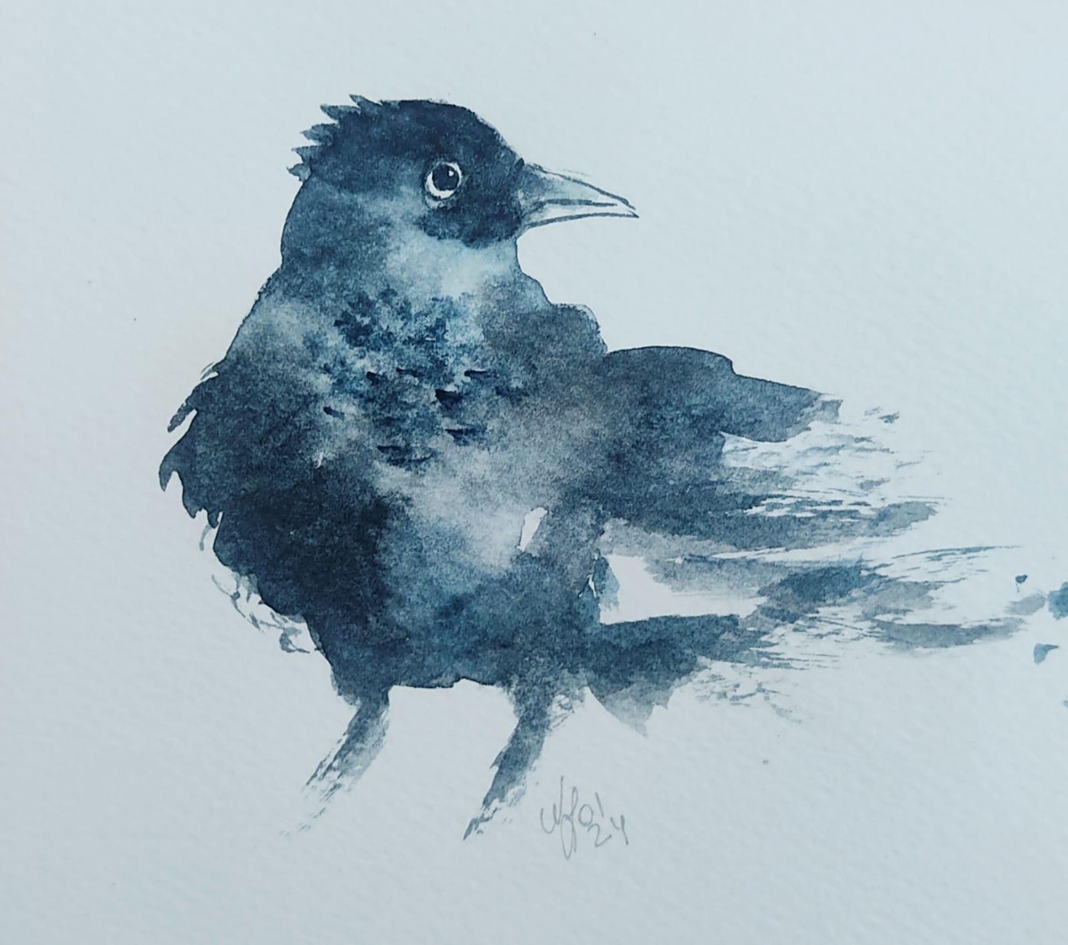 Loose Crow - image 1 - student project