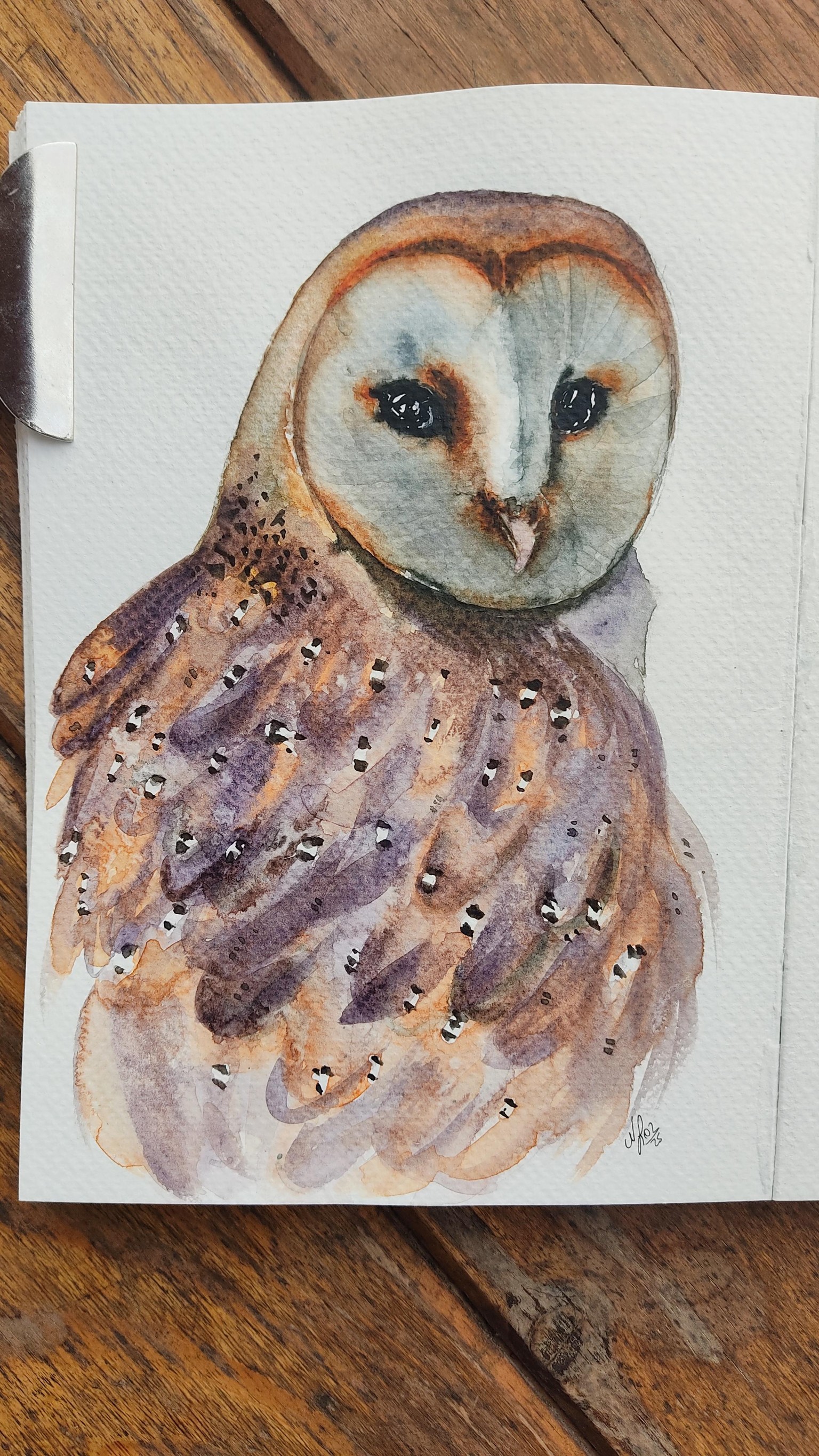 Watercolor Owl - image 1 - student project