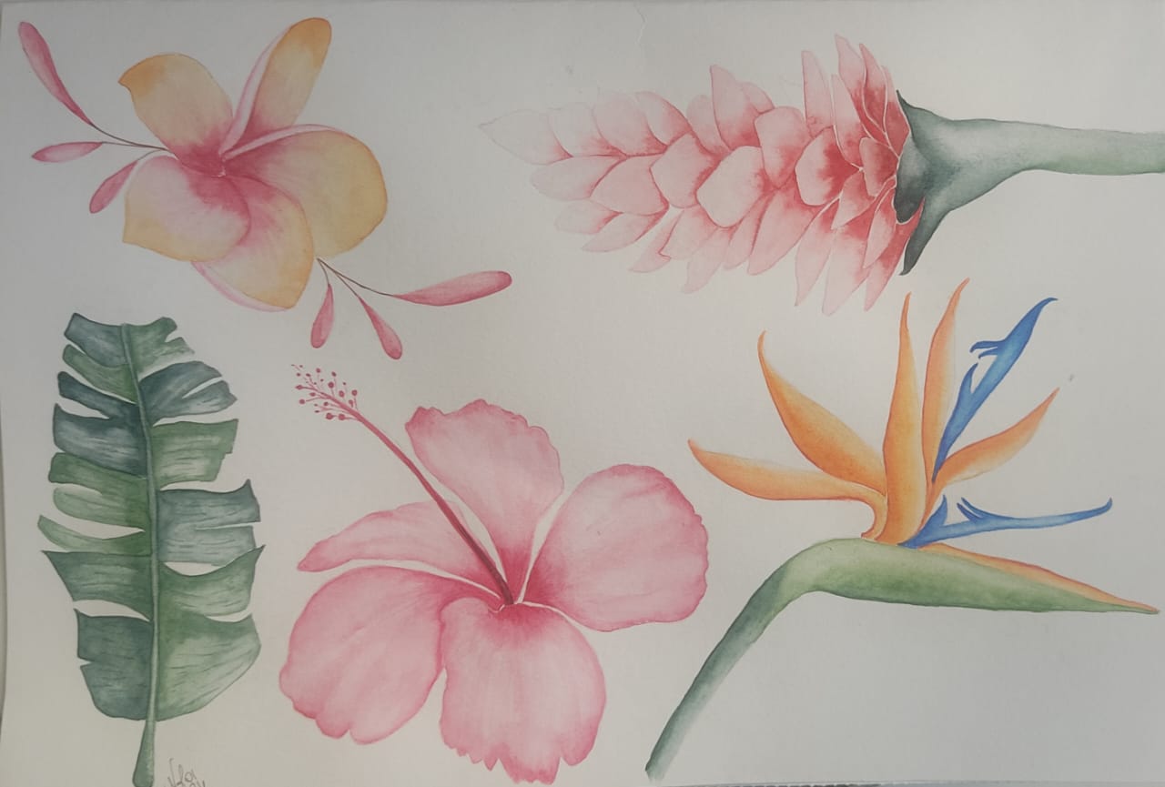 Tropical Plants and Flowers - image 1 - student project