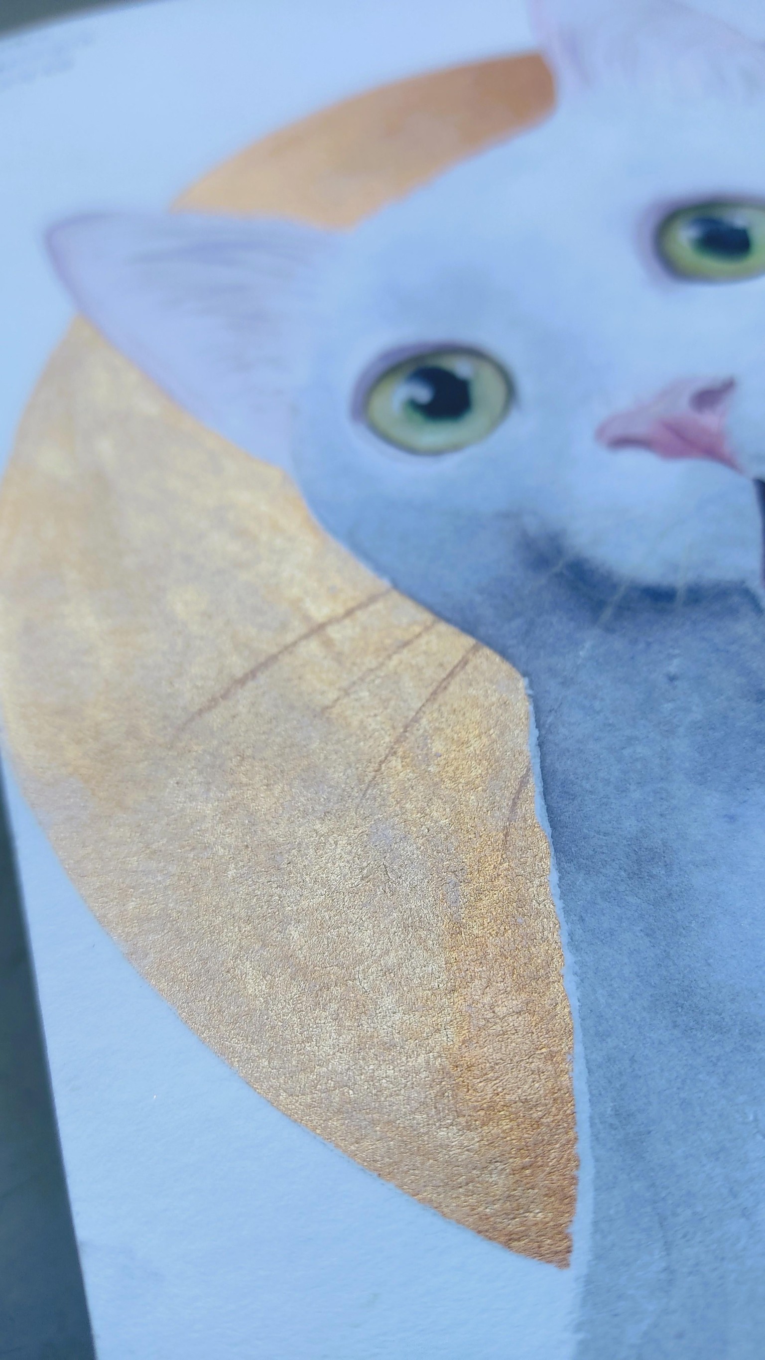 Gato blanco - image 2 - student project