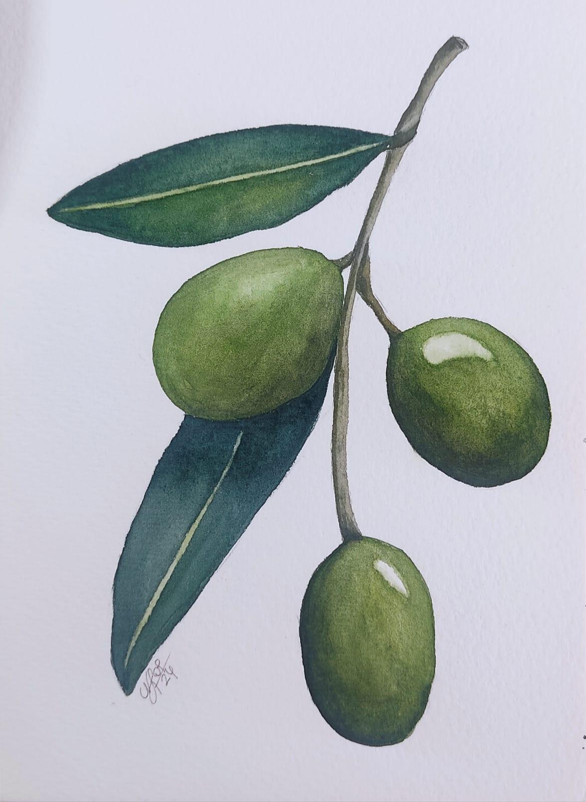 Easy Botanical Watercolor: Paint Olives, Leek, and Green Onion - image 2 - student project