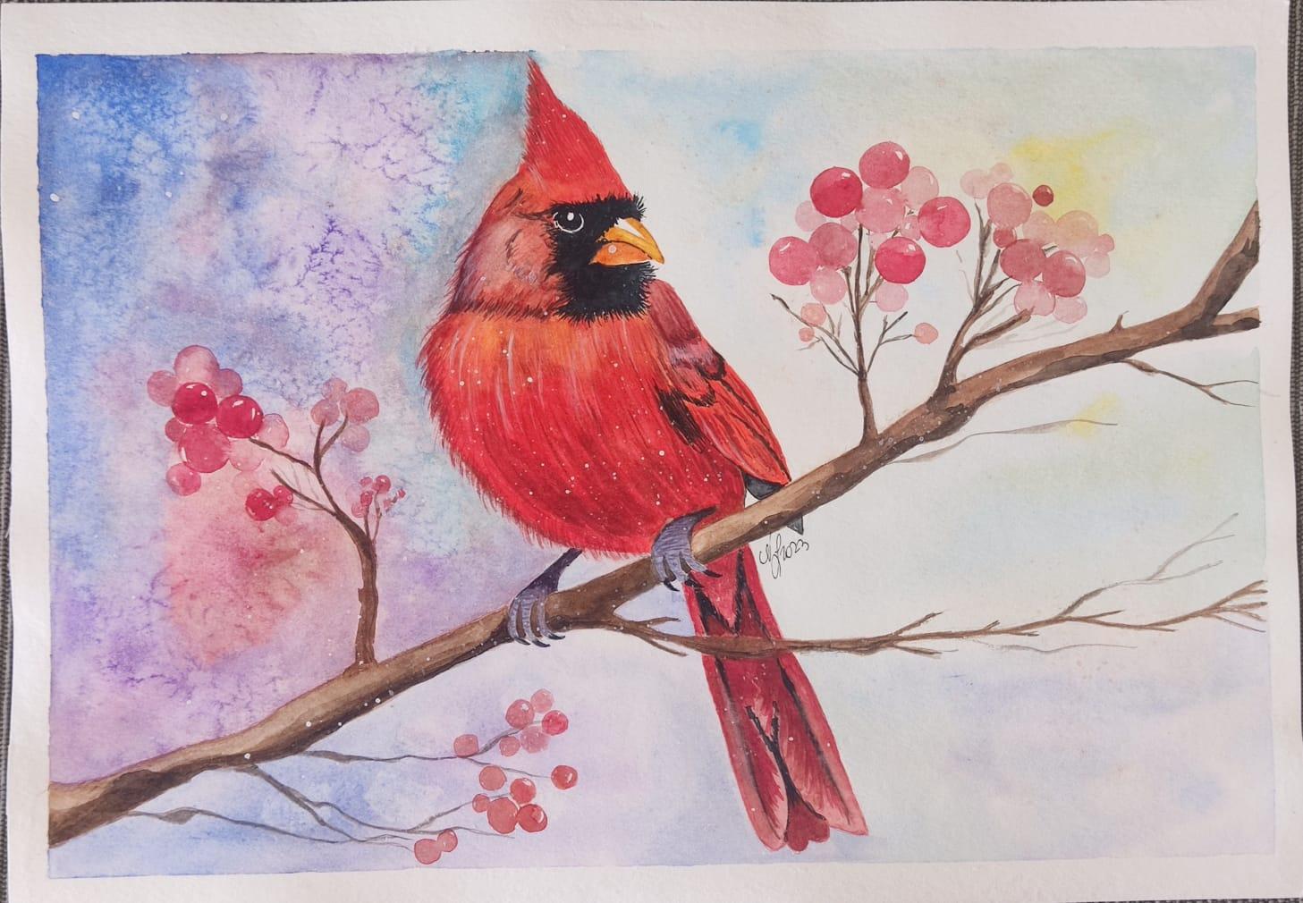 Cardenal del norte - image 1 - student project