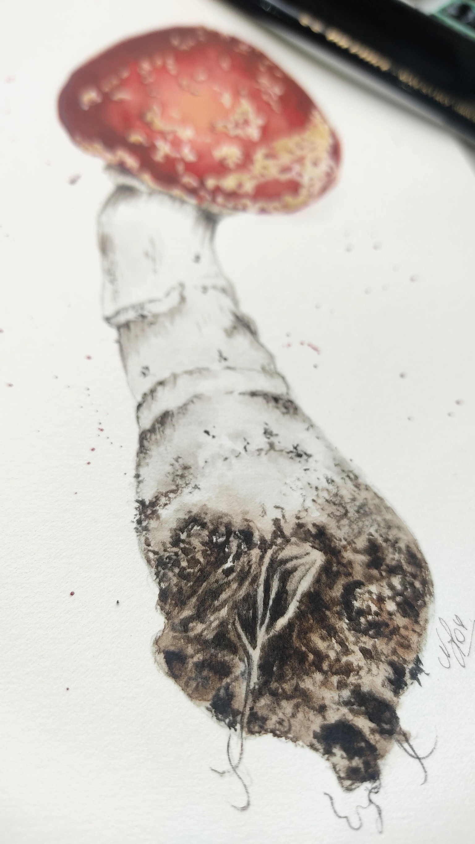 Fly Agaric Mushroom - image 3 - student project