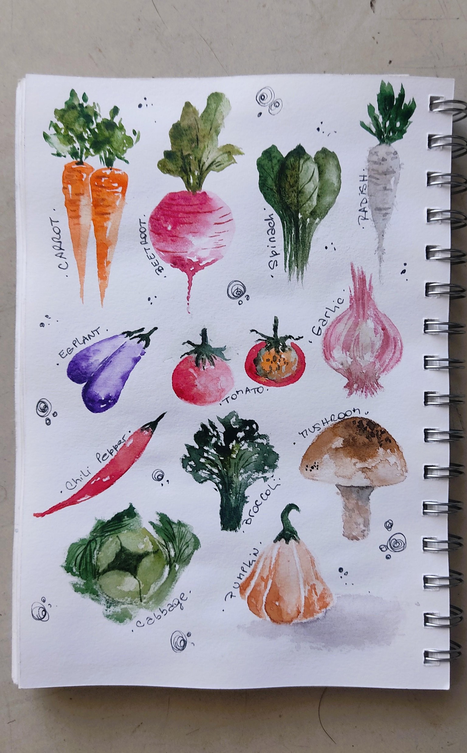 Easy Loose Watercolour Vegetables: Learn the Foundational Technique - image 1 - student project