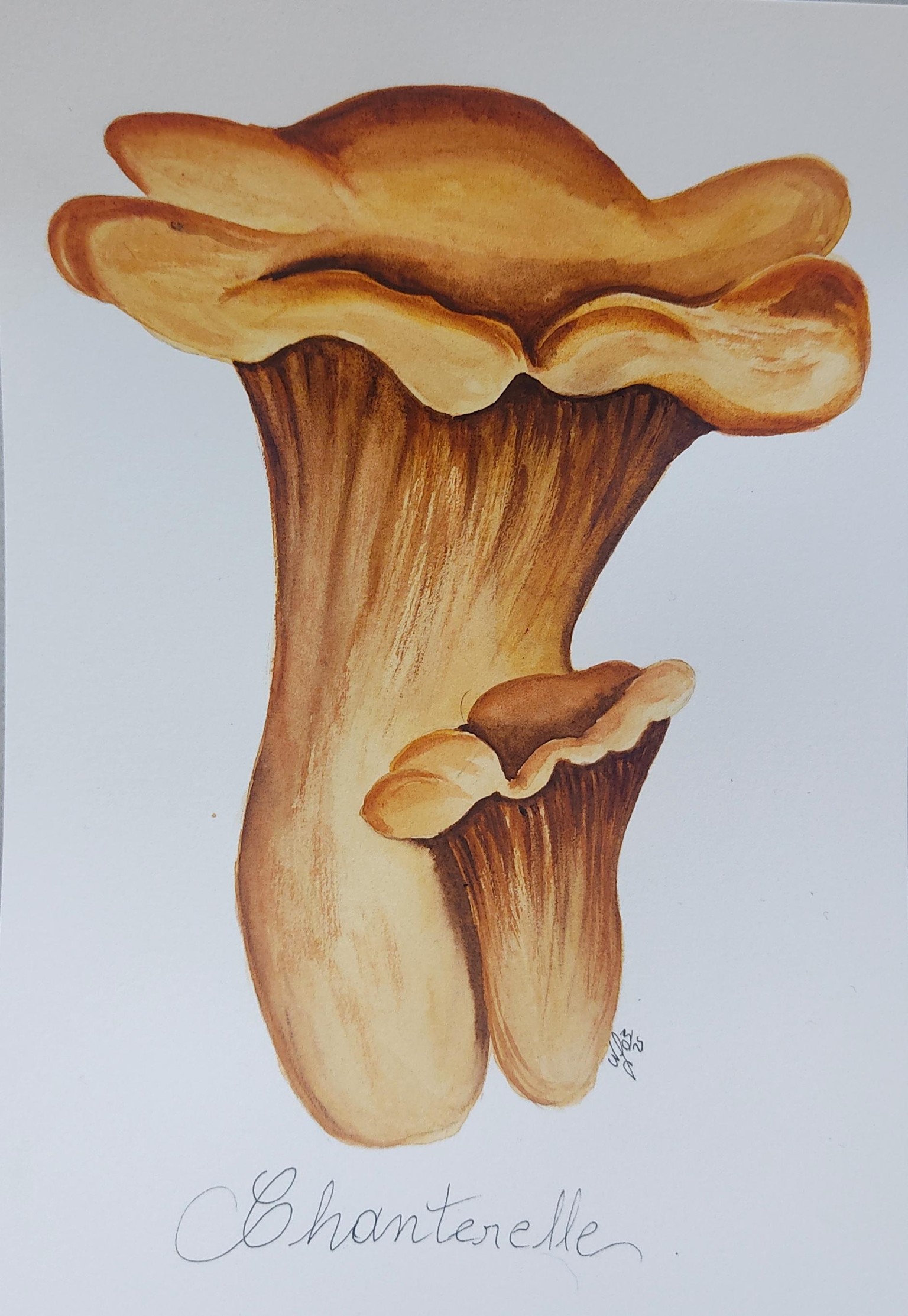 Watercolor Autumn Leaves & Mushrooms - image 3 - student project