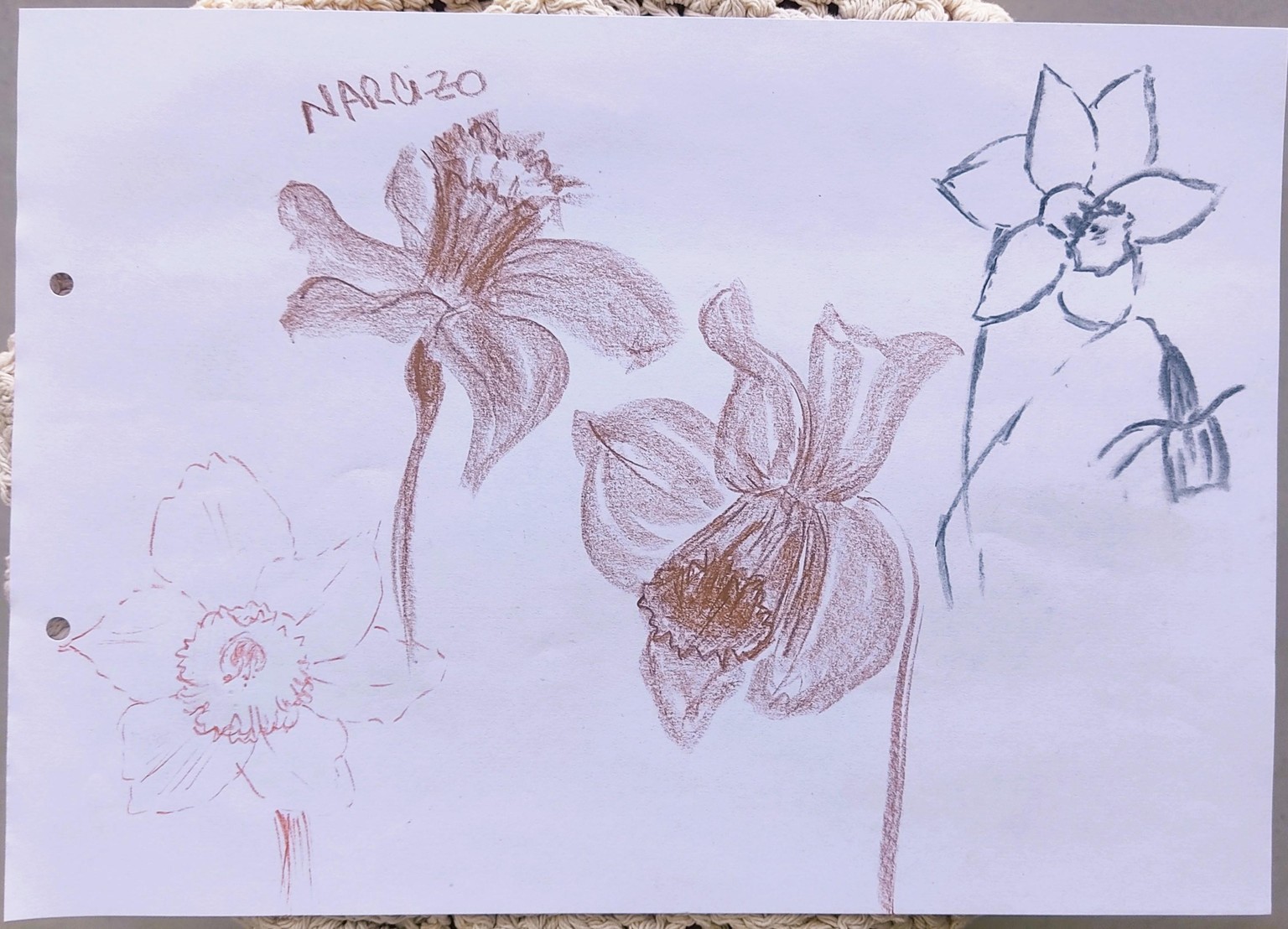 Capture the Essence: Loose Sketching with Shapes - image 3 - student project