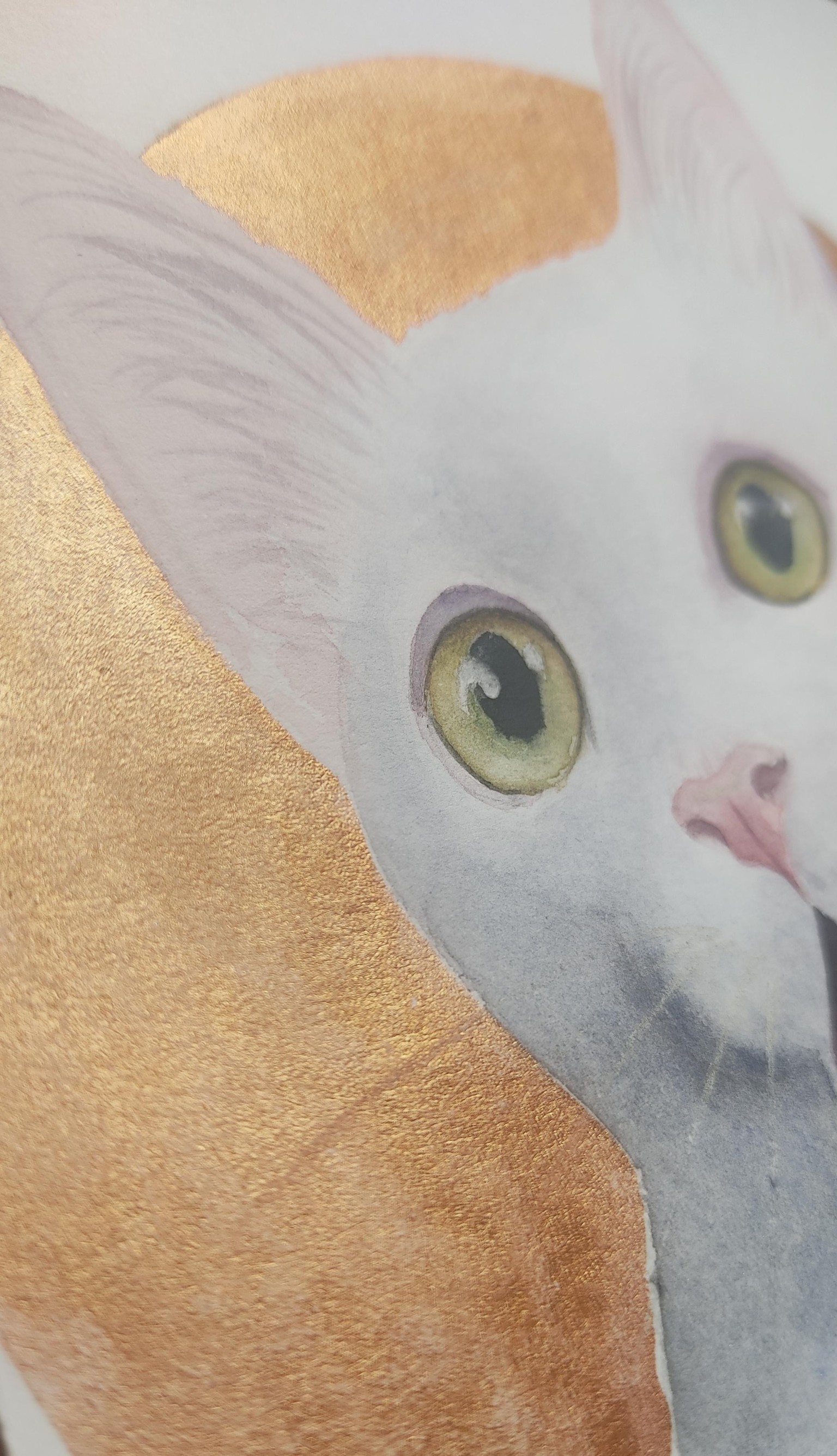 Gato blanco - image 3 - student project
