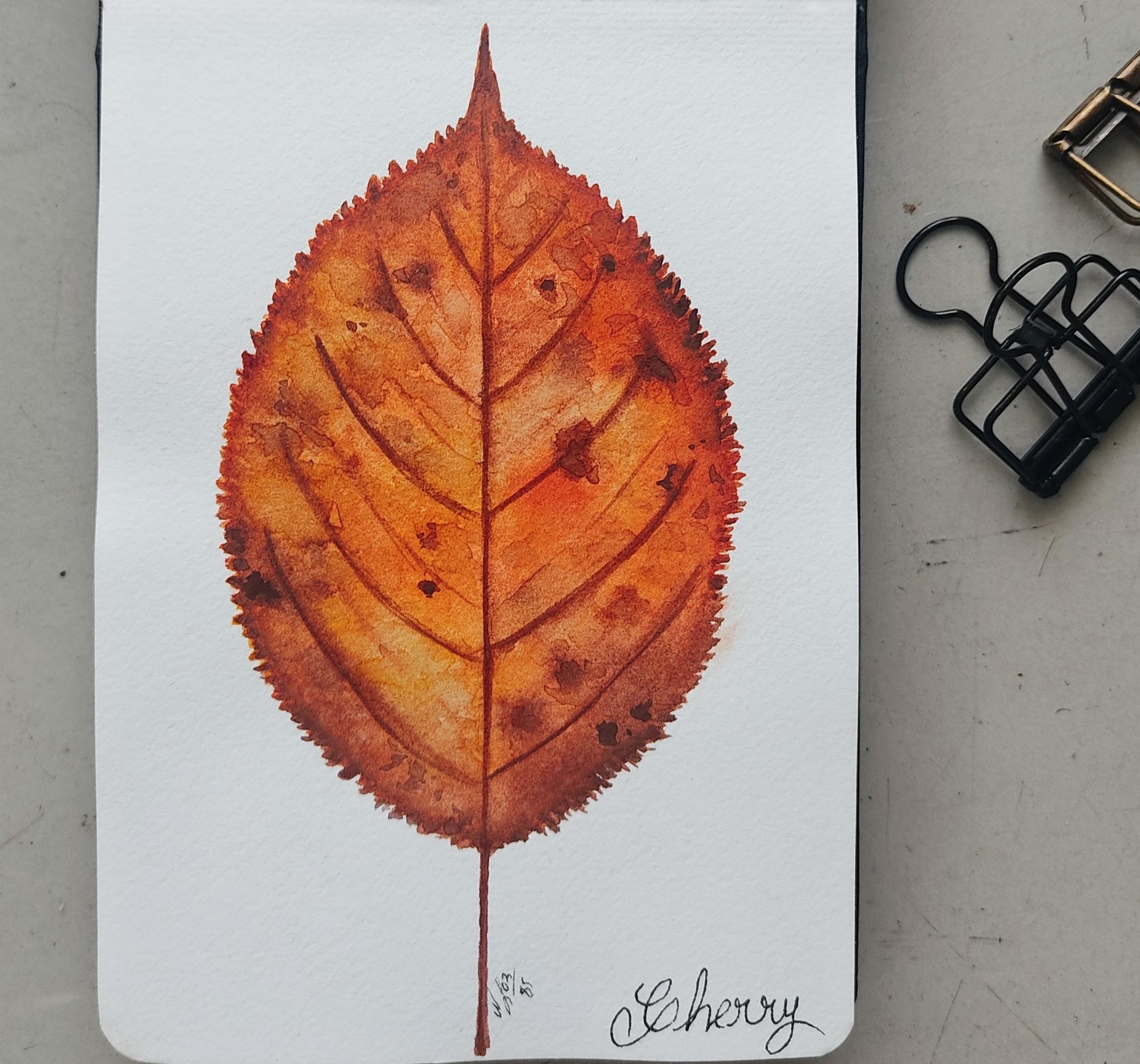 Watercolor Autumn Leaves & Mushrooms - image 5 - student project