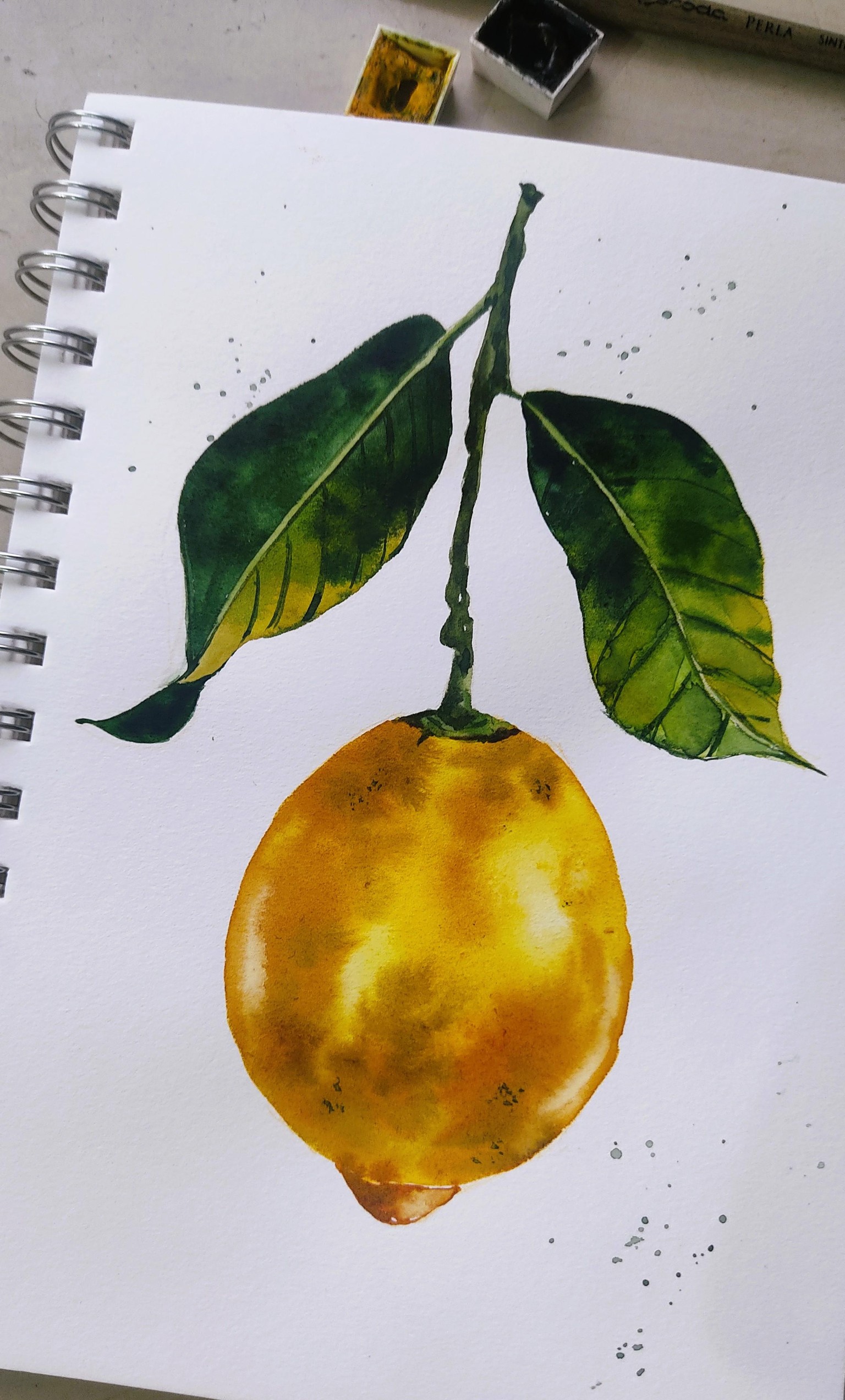 Juicy Botanical Watercolor Lemons - image 2 - student project