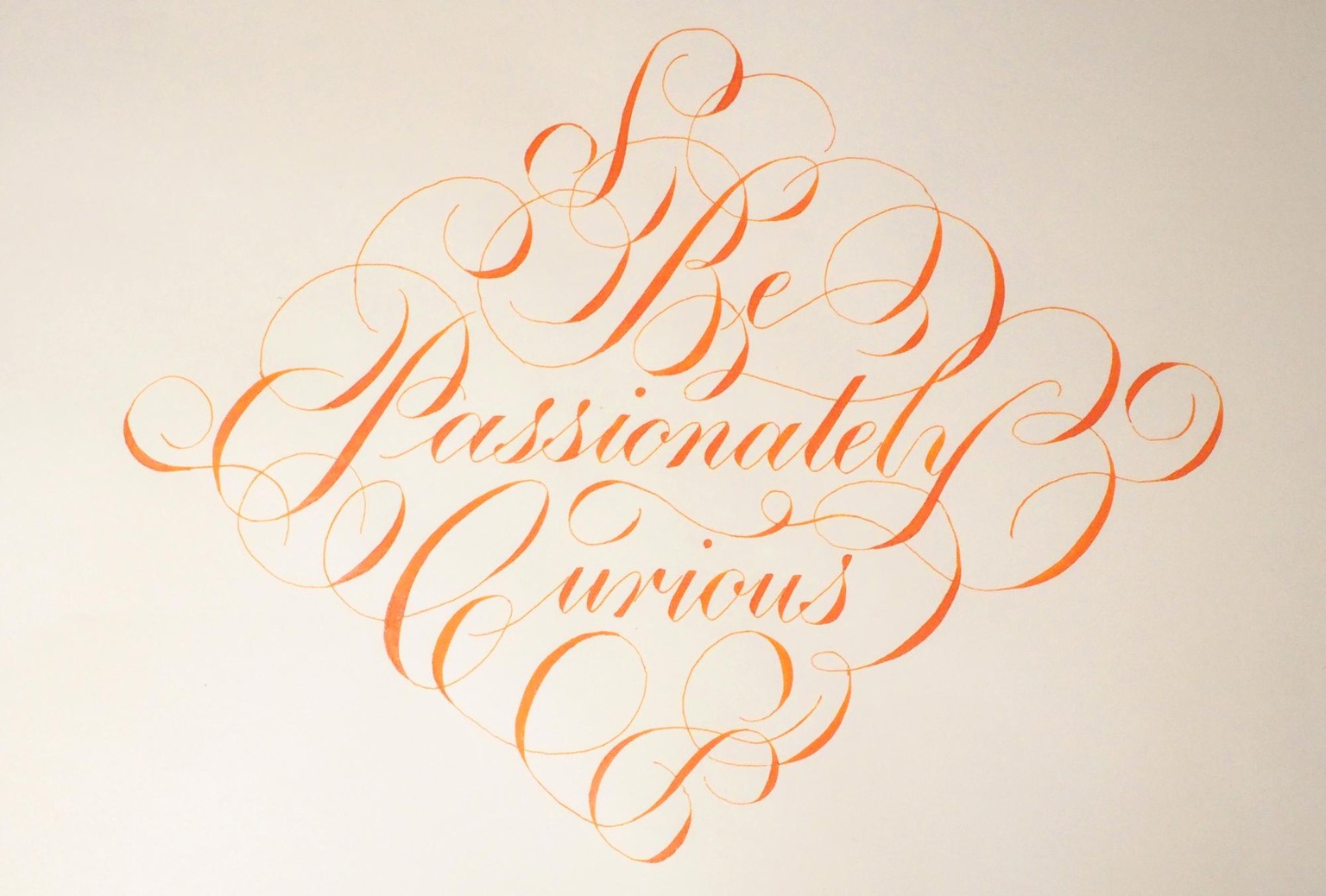 Be Passionately Curious - image 4 - student project