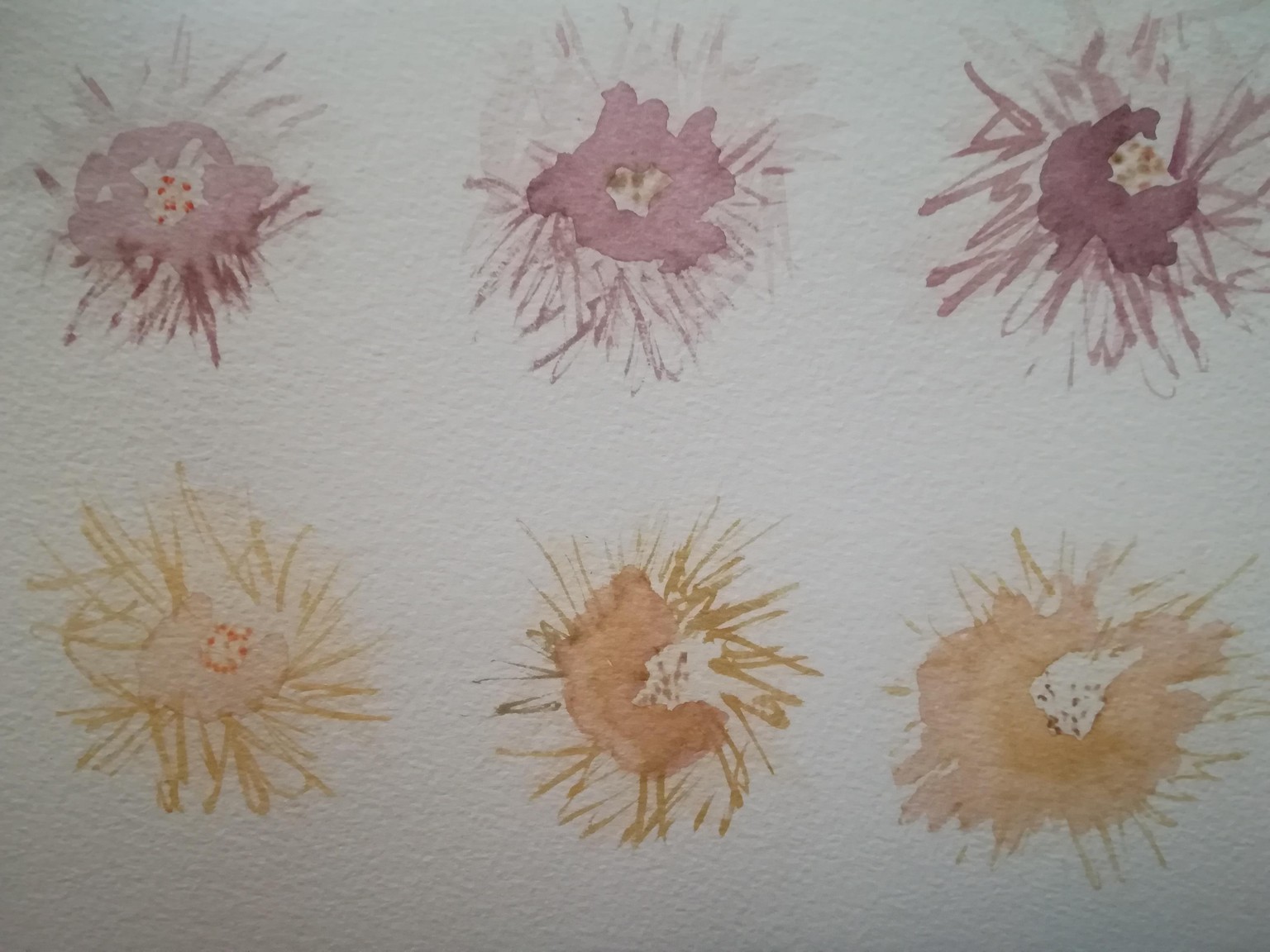 Gothic flowers - image 1 - student project