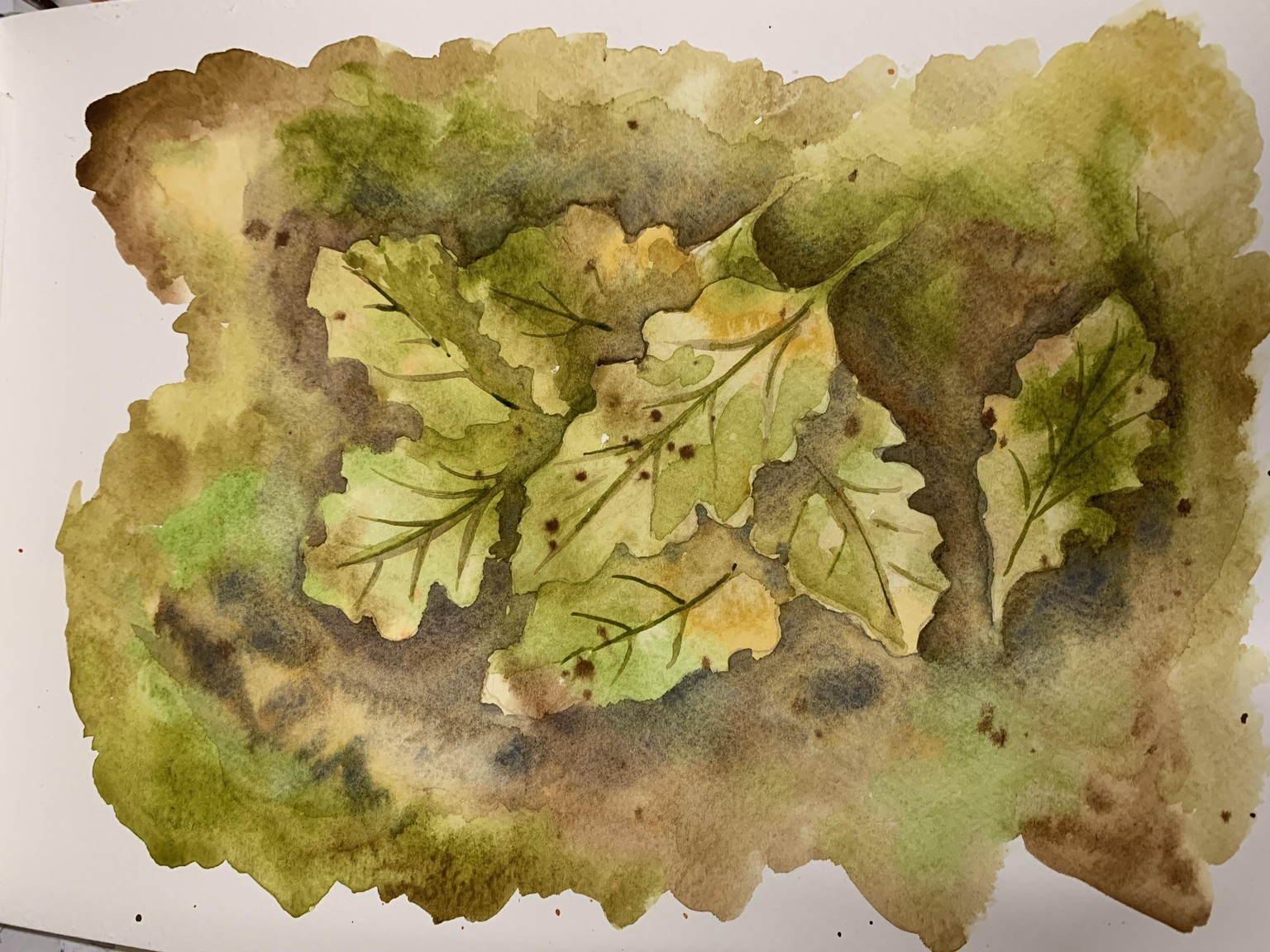 Fallen leaves - image 1 - student project