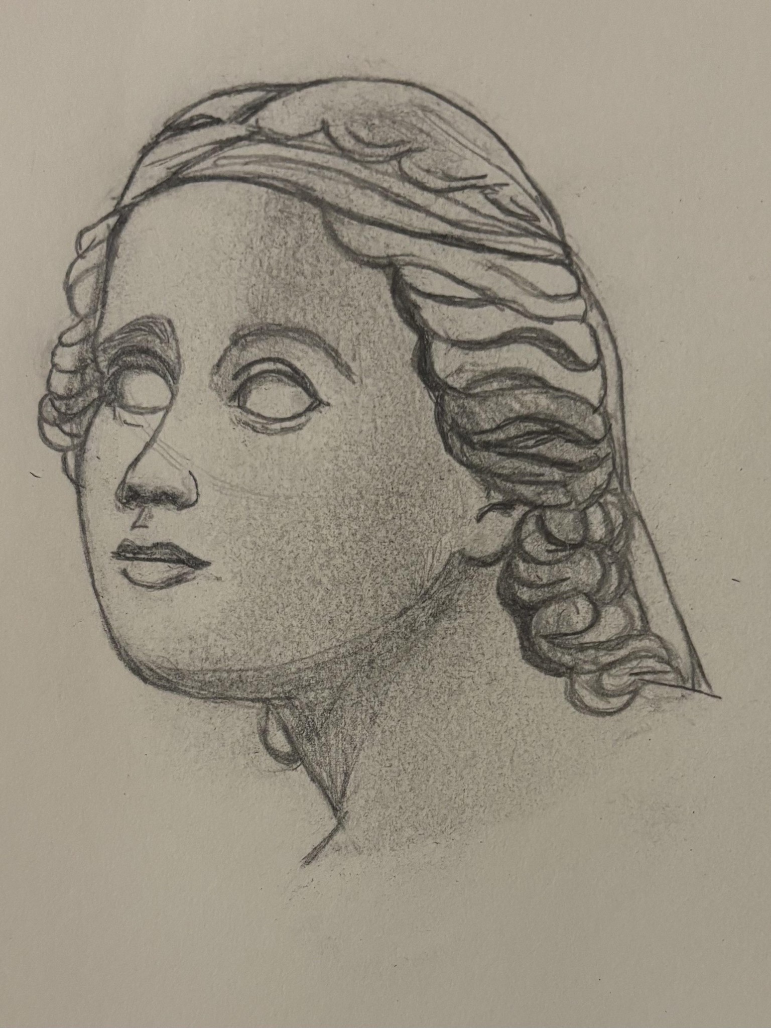 Portrait Redraw - image 1 - student project