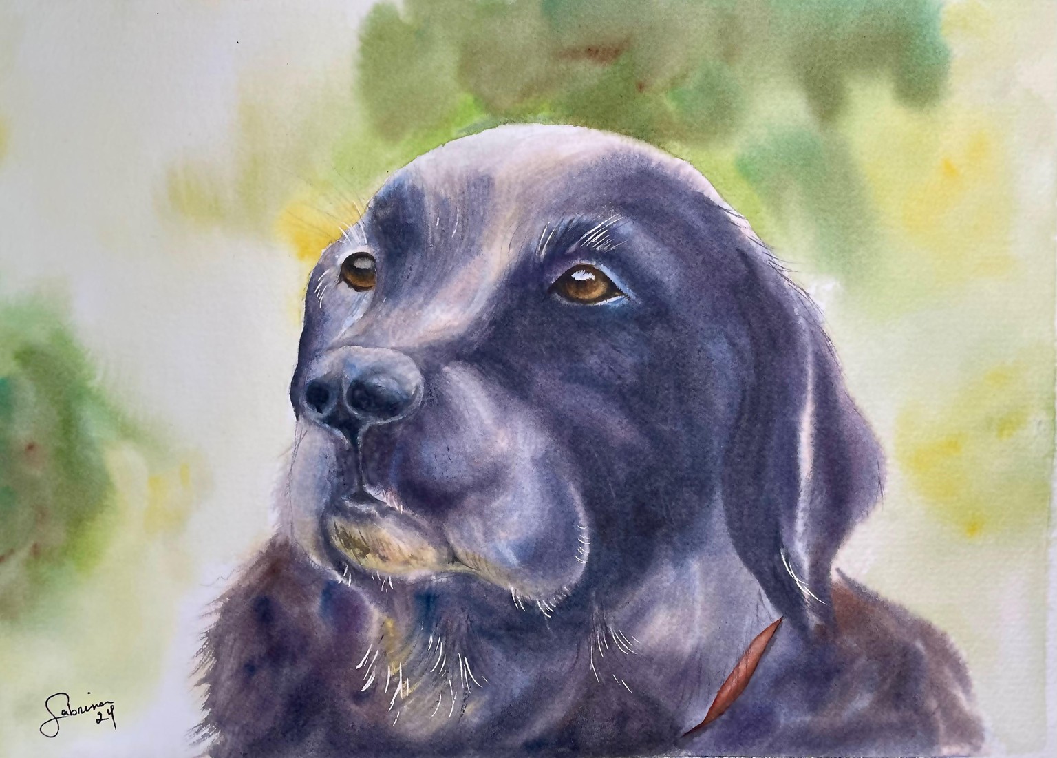 Realistic BLACK Animals - image 1 - student project