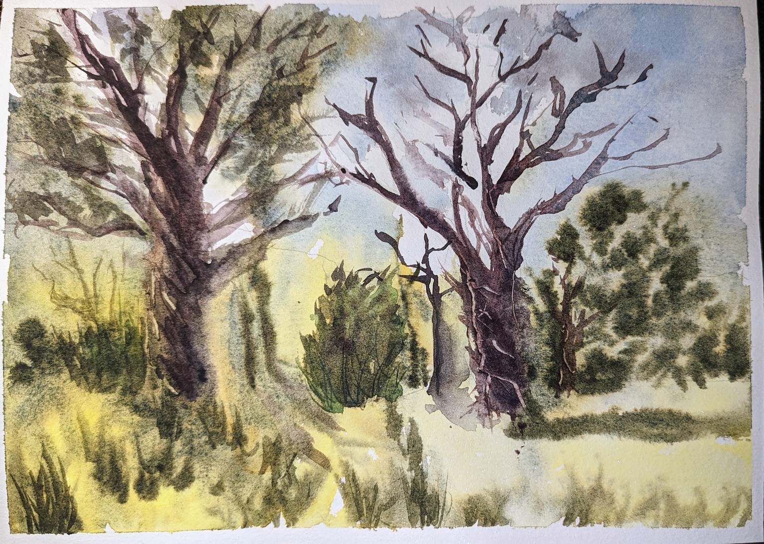 Loose Landscape - image 2 - student project