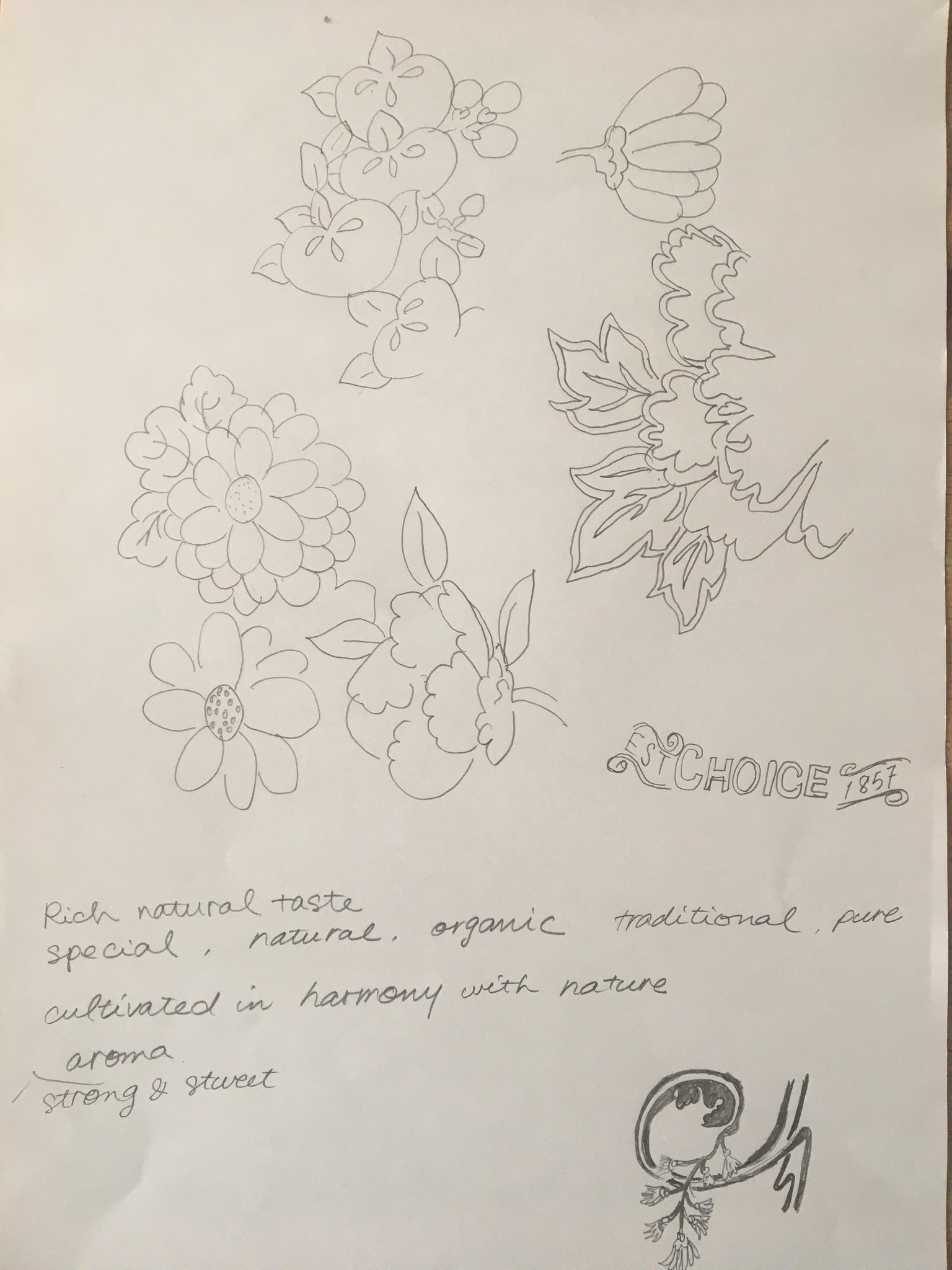 vintage style packaging for green tea - image 3 - student project