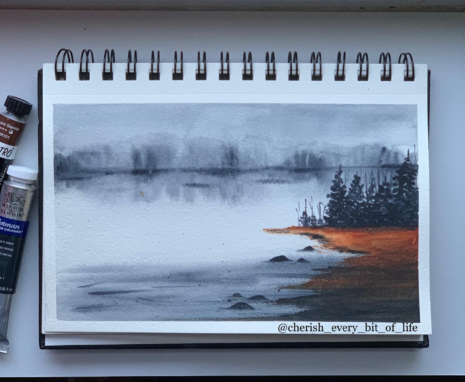 Moody Landscapes - image 3 - student project