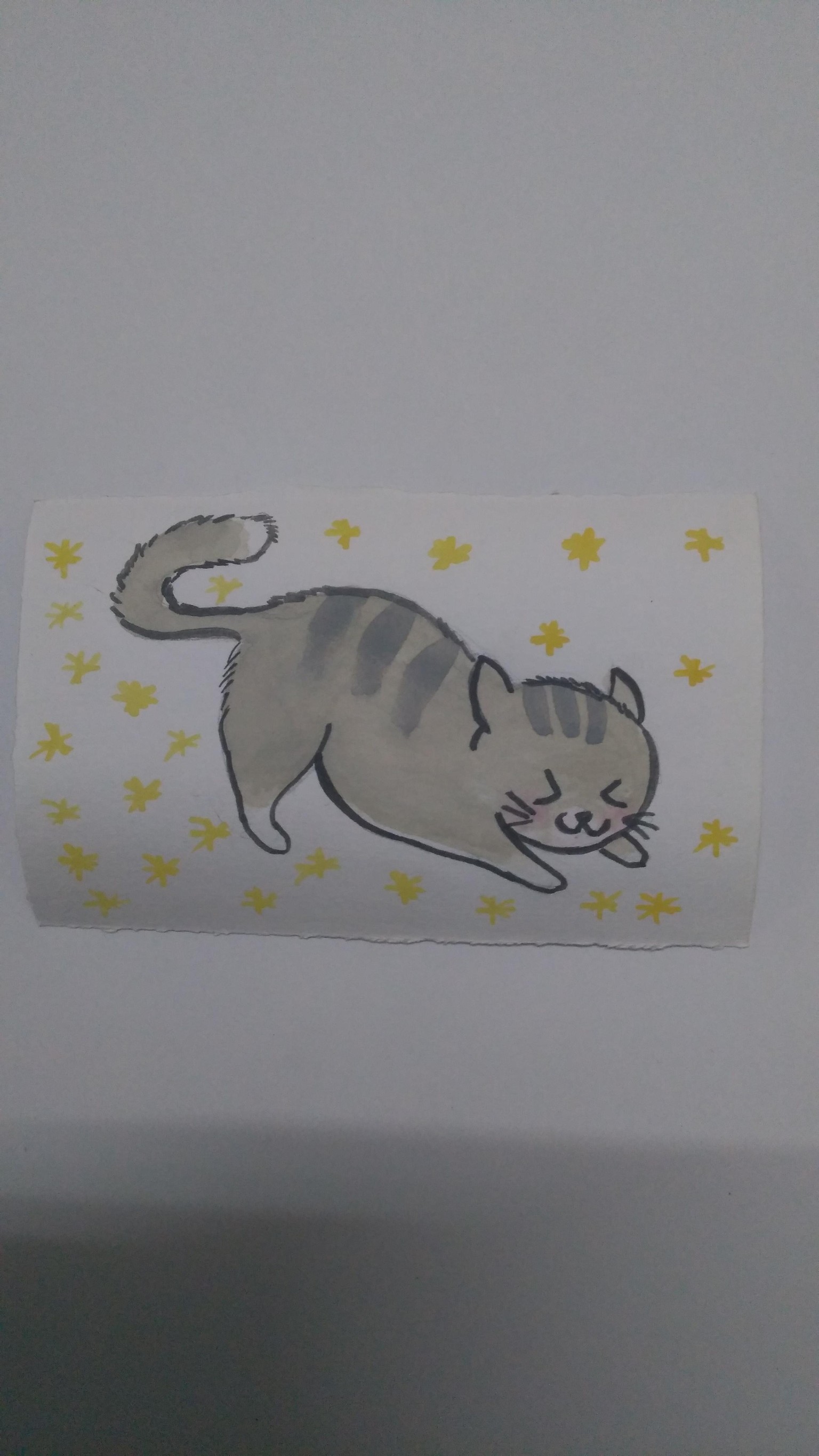 Kawaii cats - image 3 - student project