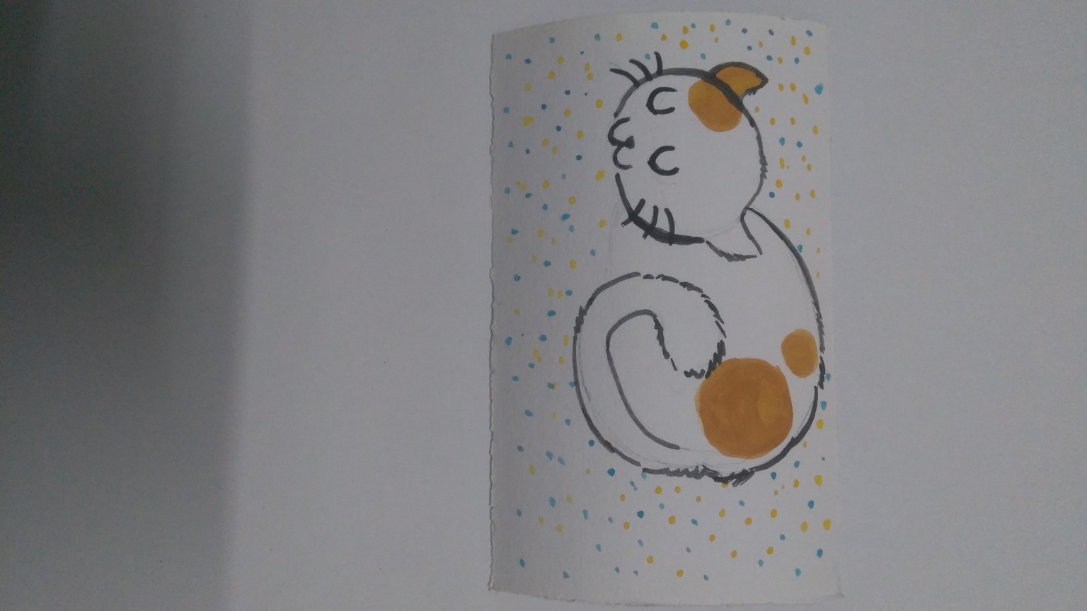 Kawaii cats - image 4 - student project