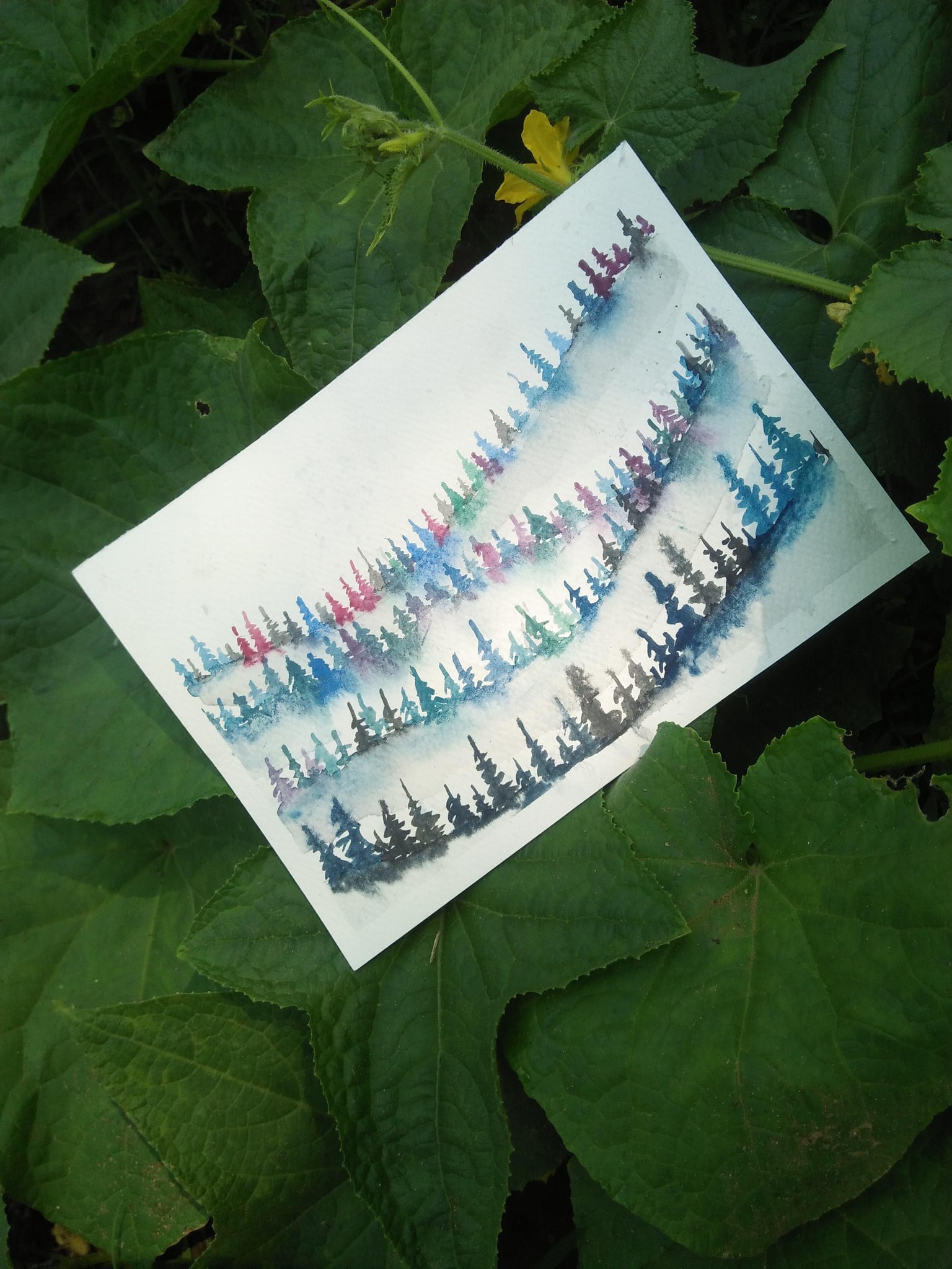 Misty pine forest - image 2 - student project